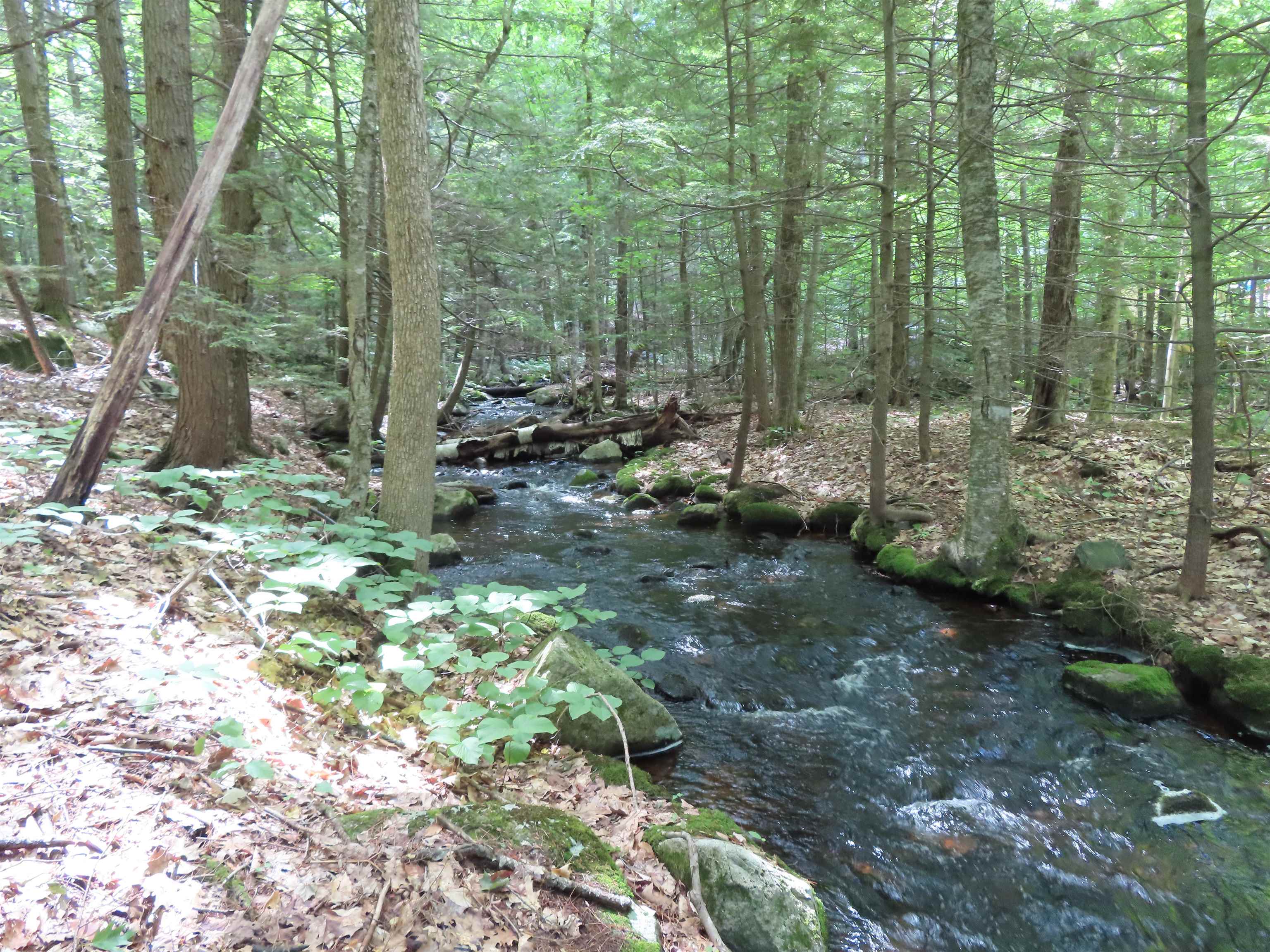 Lots 134-135 Wendy Dr, Alton, NH 03810