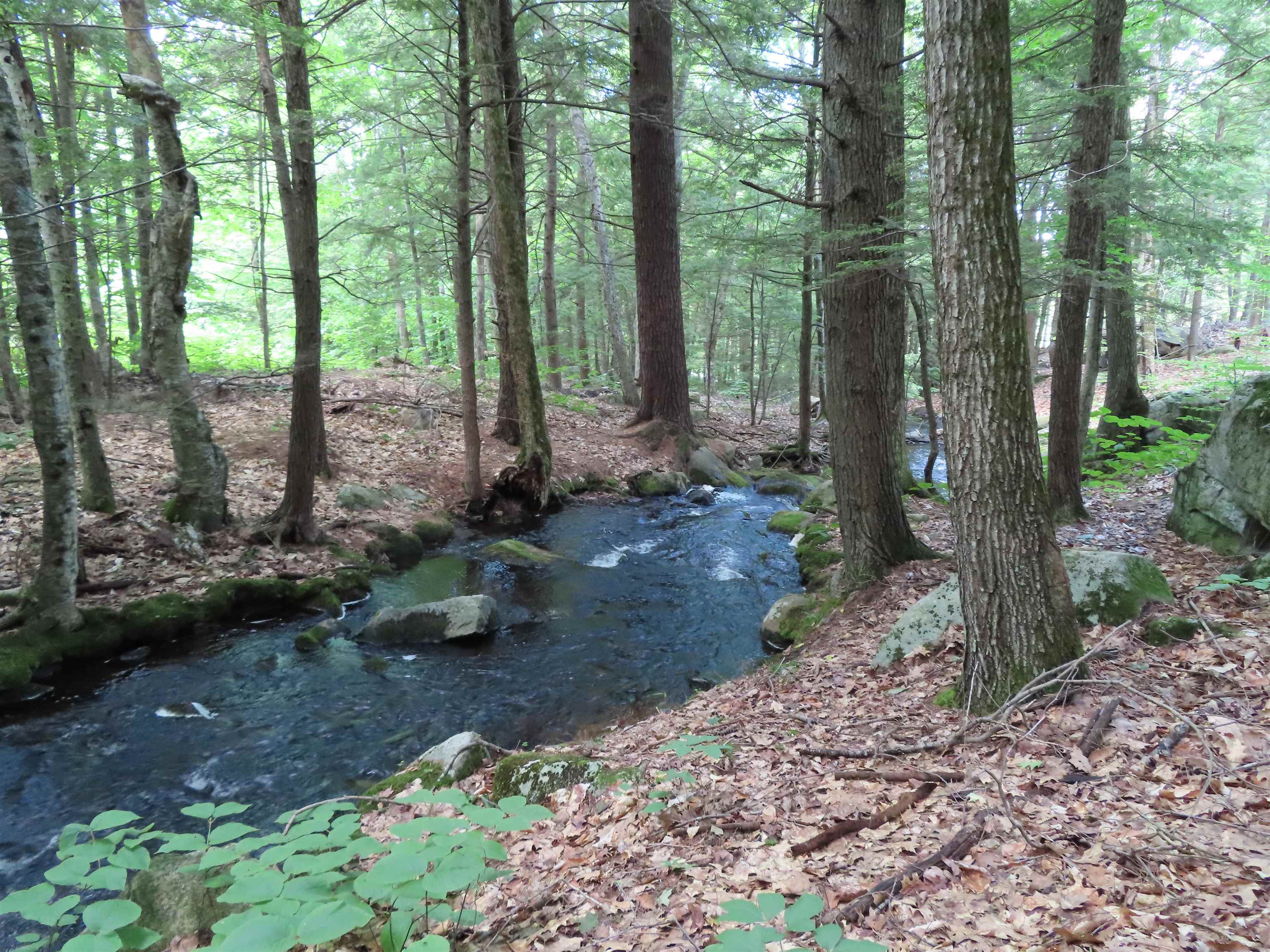 Lots 134-135 Wendy Dr, Alton, NH 03810