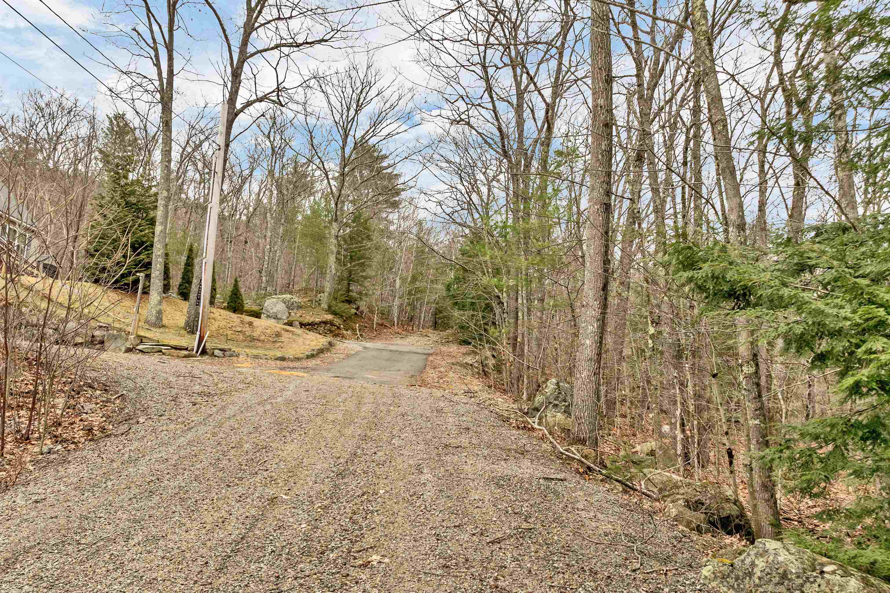 Wendy north - spring