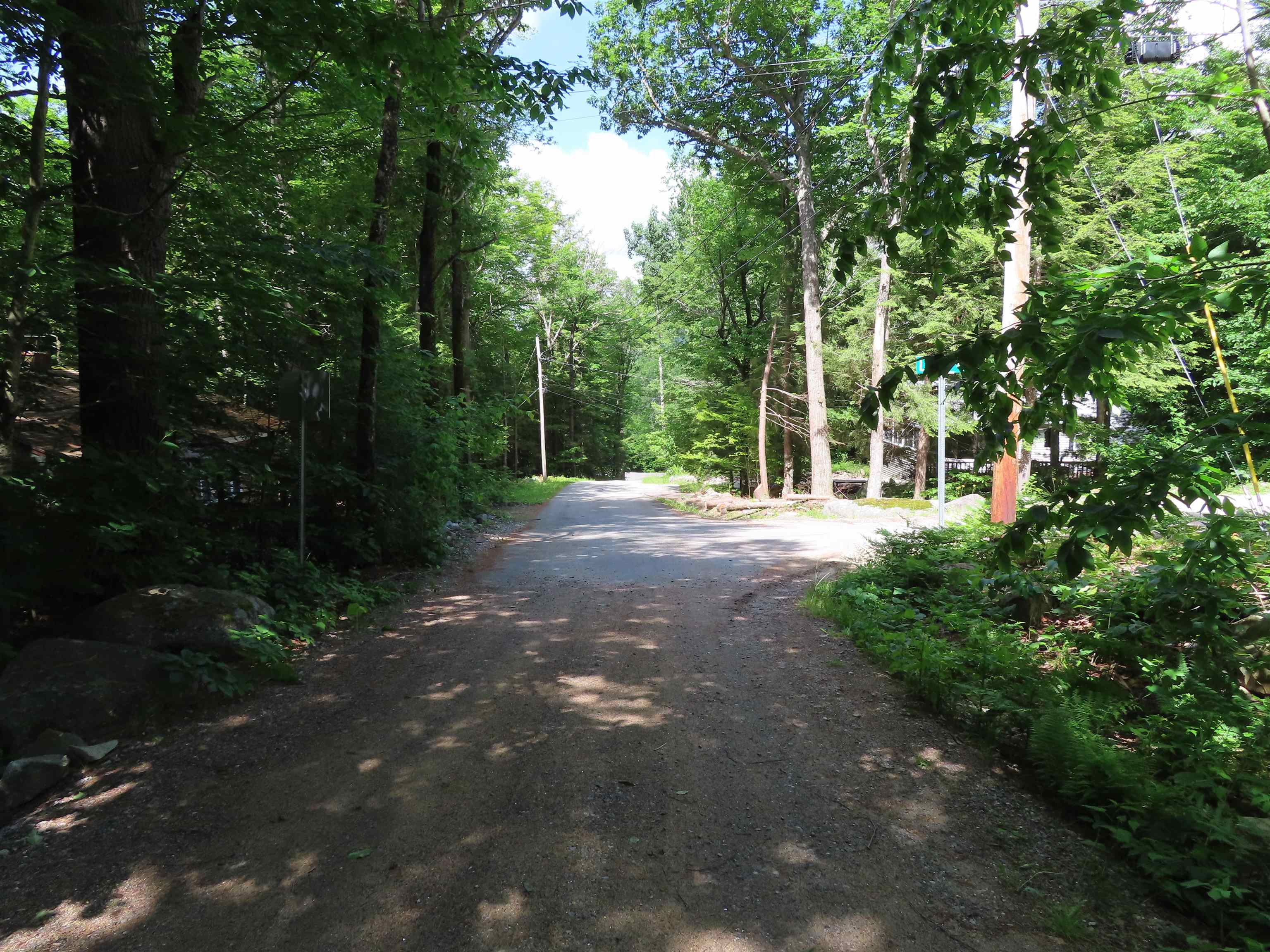 Wendy Drive looking south