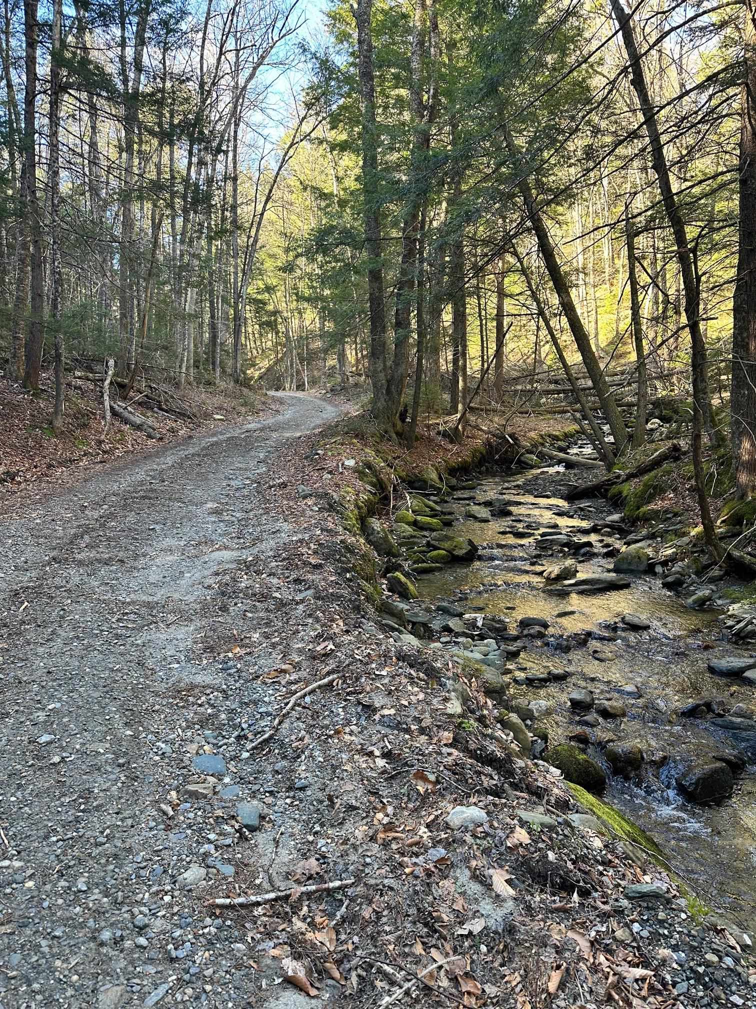 Unmaintained Rd