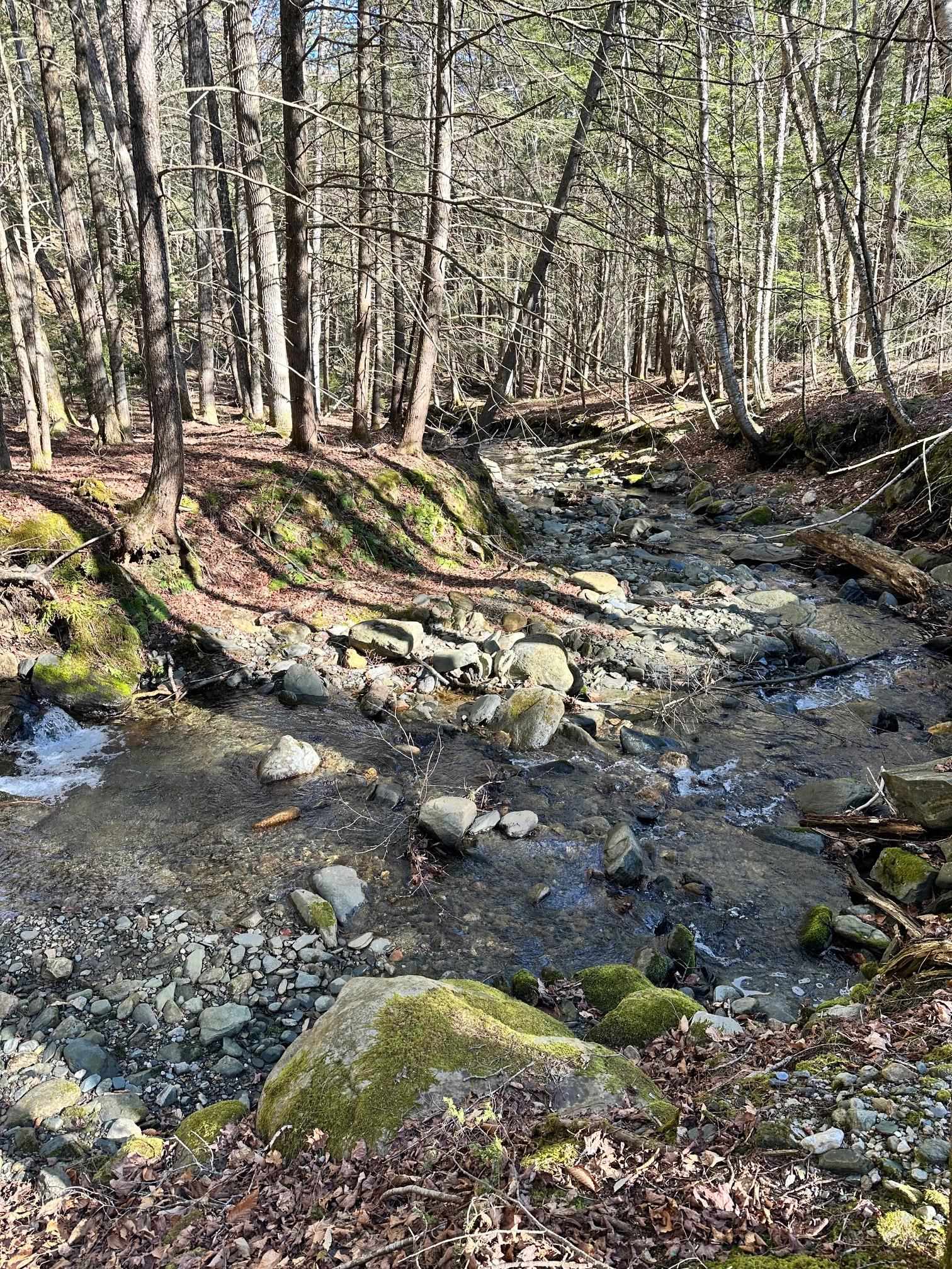 Hunter Brook across the Rd