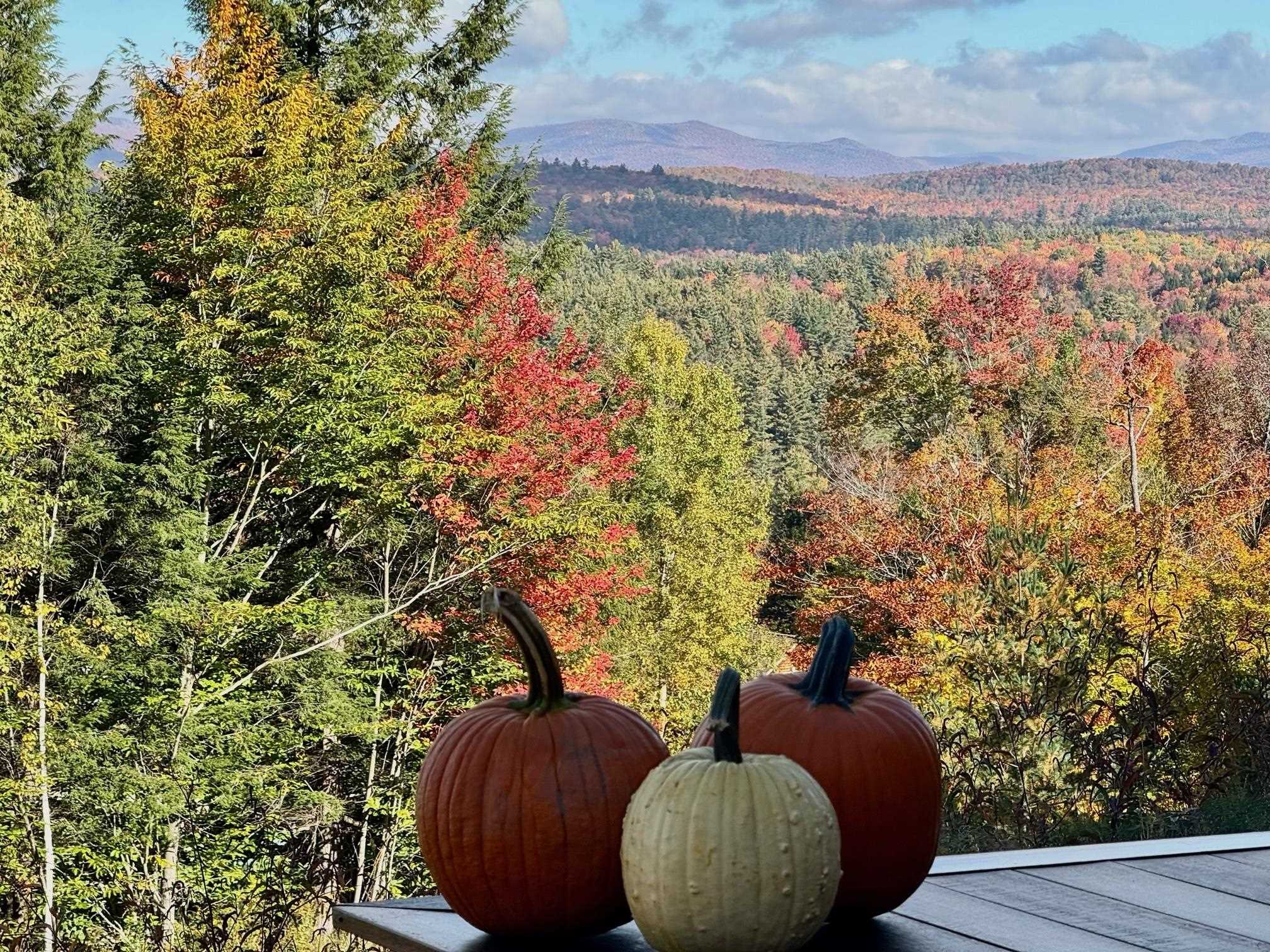 Photo 2 of Single family home for sale at 59 Garden Loop Rd, Bondville, VT 05340 | MLS# 5085635 | Listing updated on 2026-10-05