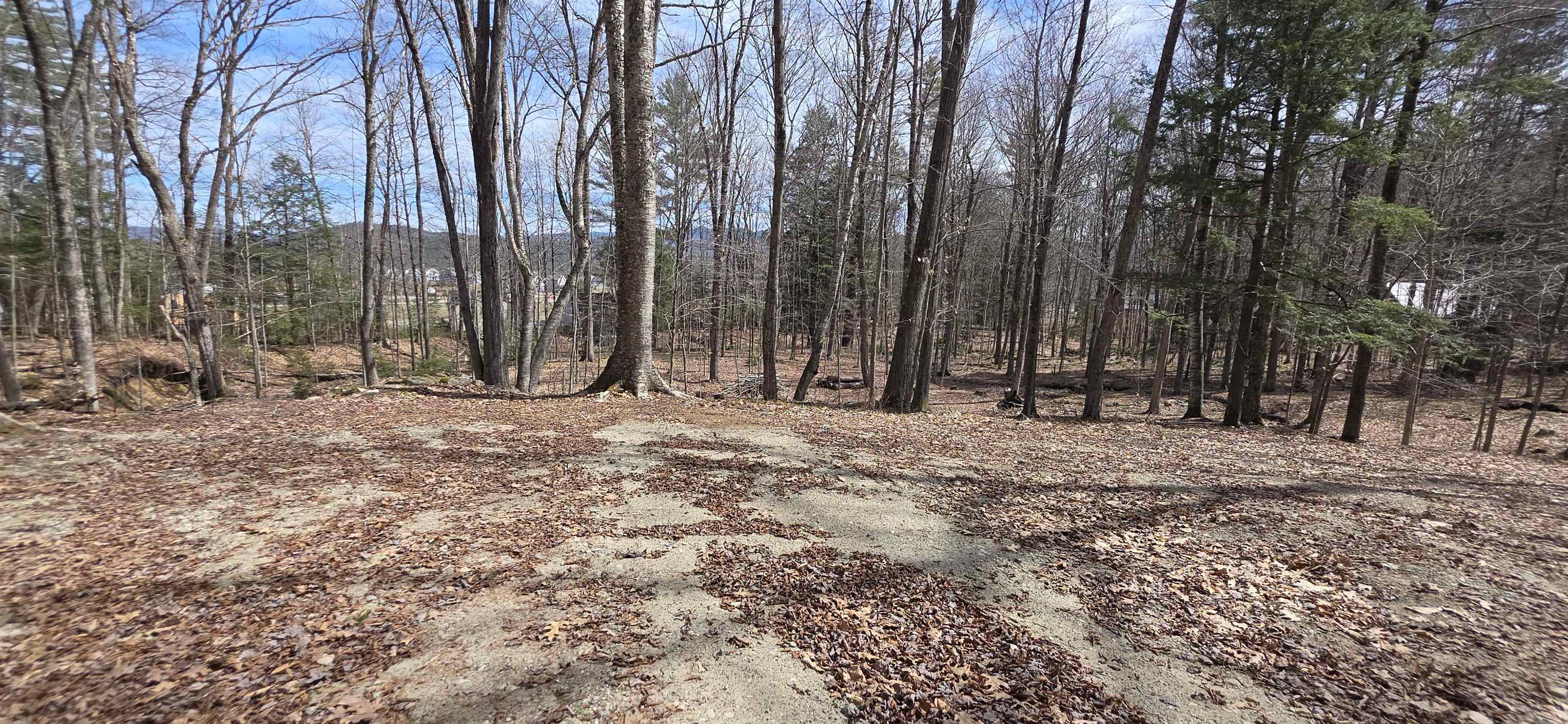 Mitchell Rd, Thornton, NH 03223