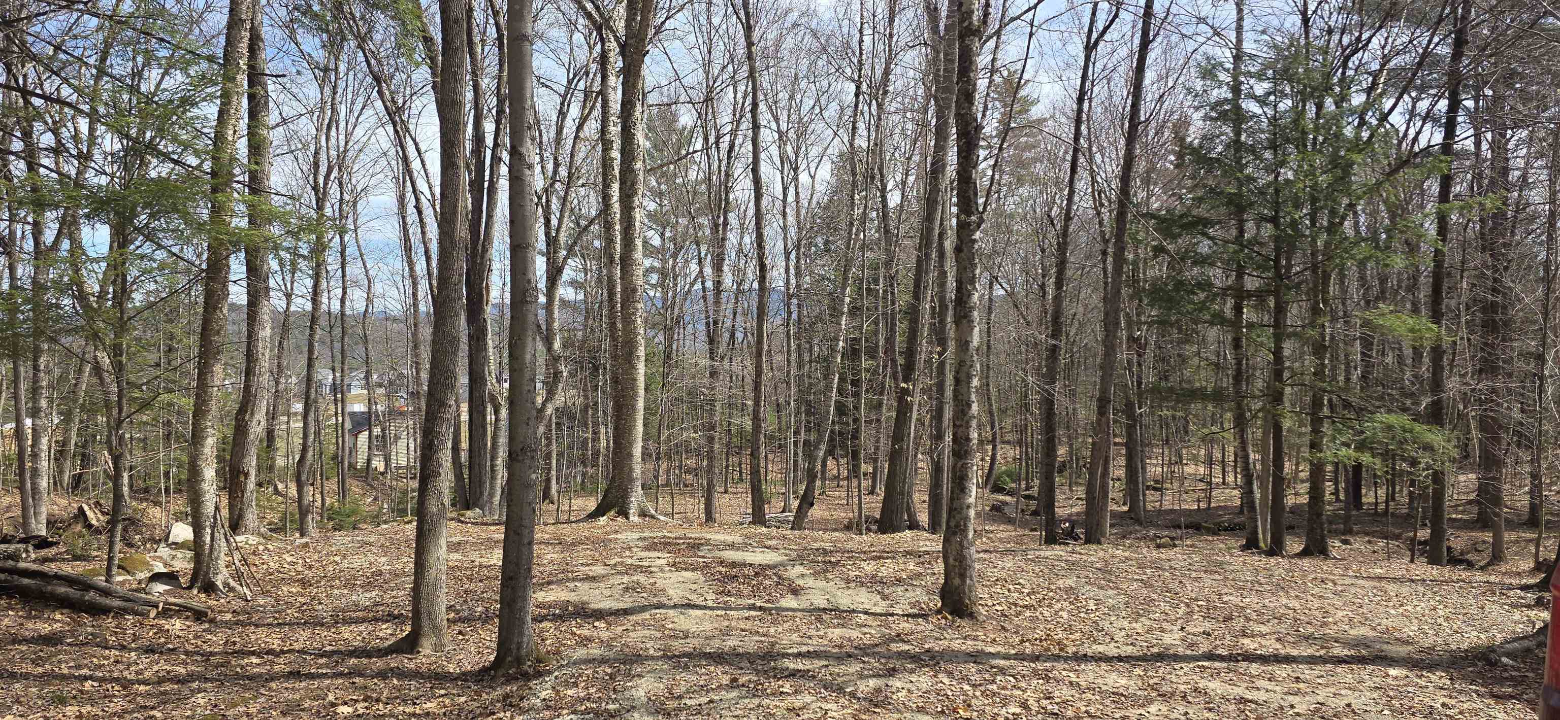 Mitchell Rd, Thornton, NH 03223