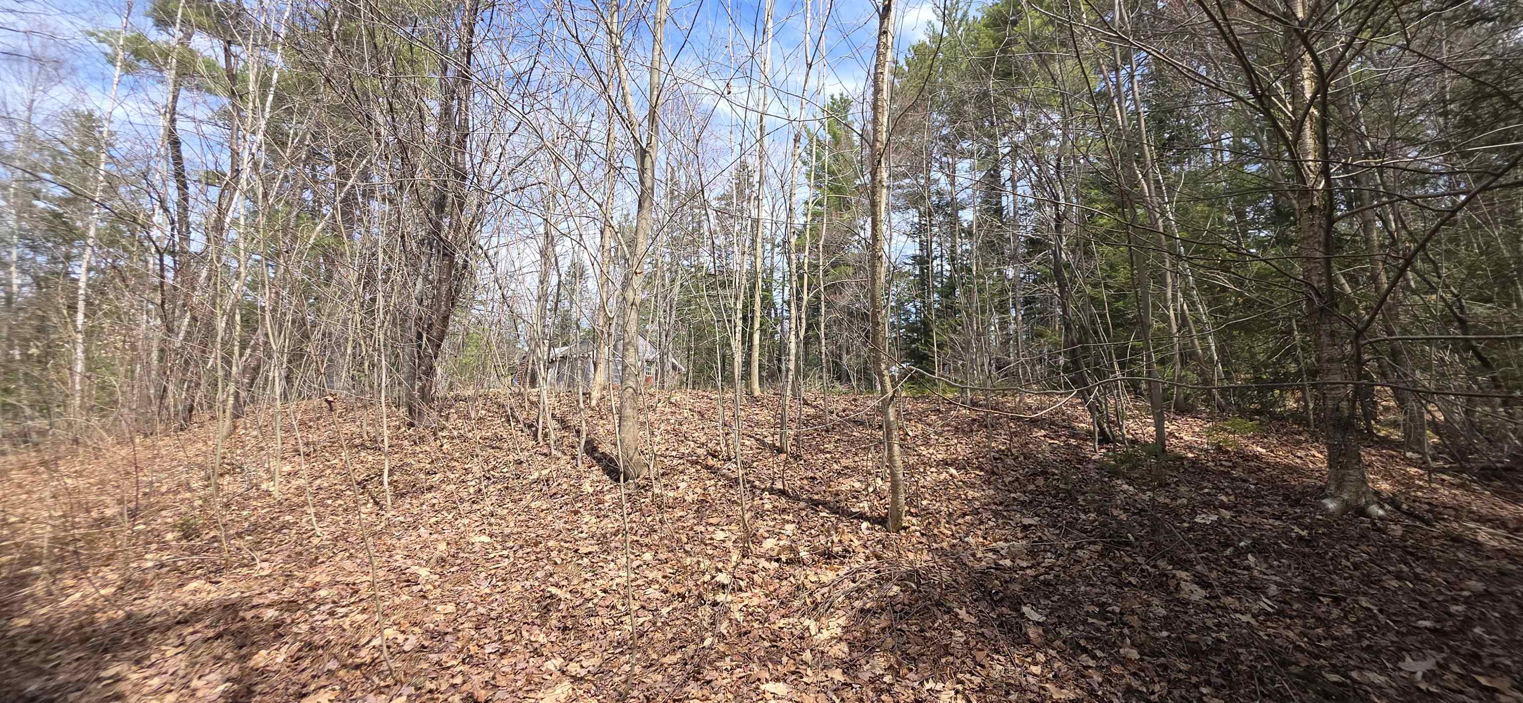 1715 New Hampshire Route 118 Route, Dorchester, NH 03266