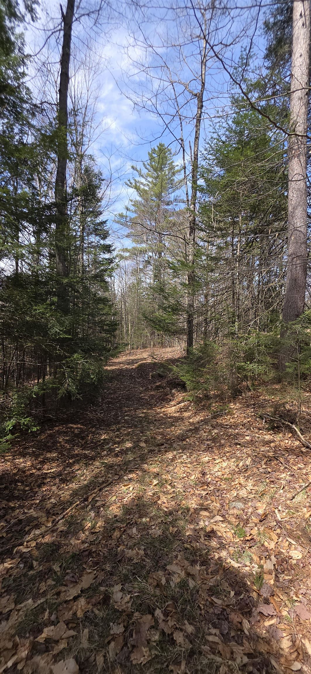 1715 New Hampshire Route 118 Route, Dorchester, NH 03266