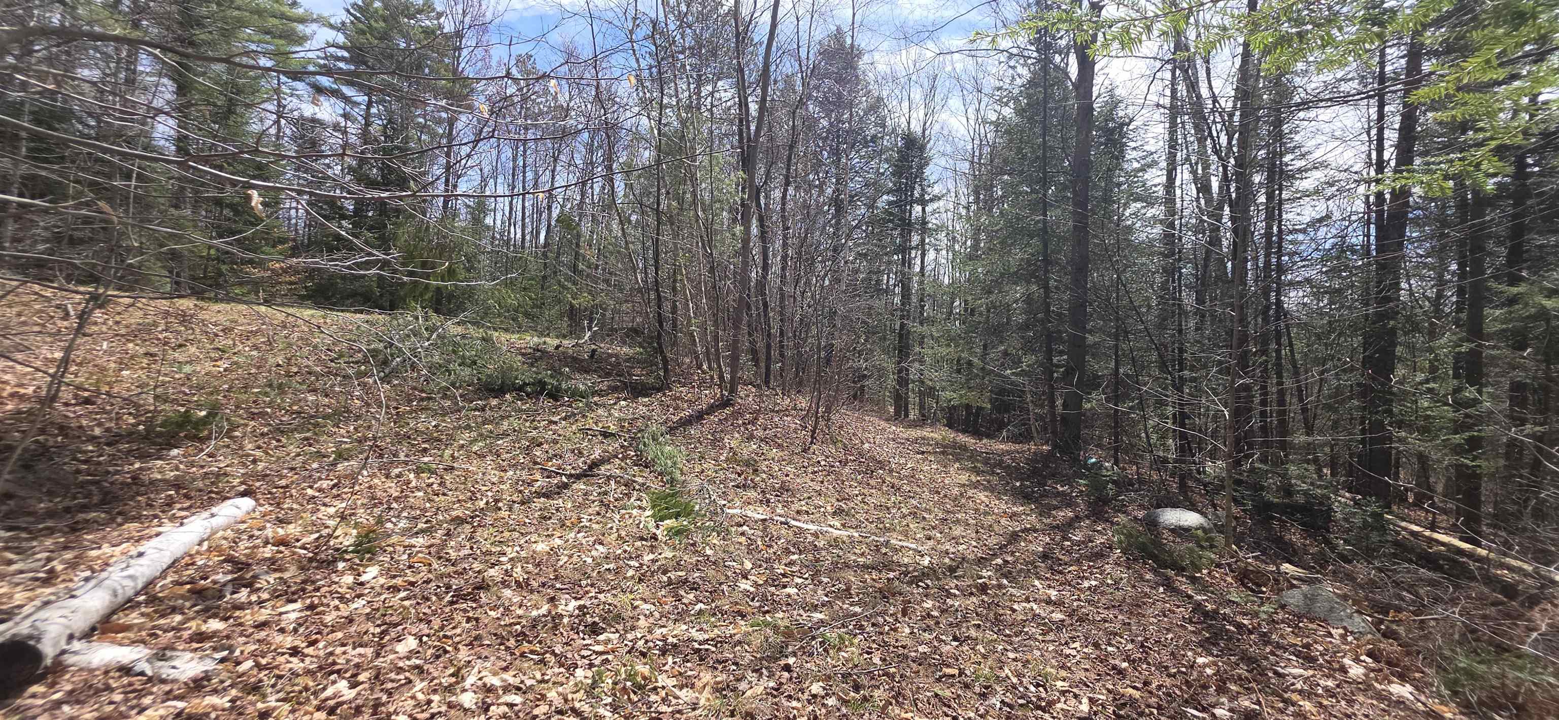 1715 New Hampshire Route 118, Dorchester, NH 03266