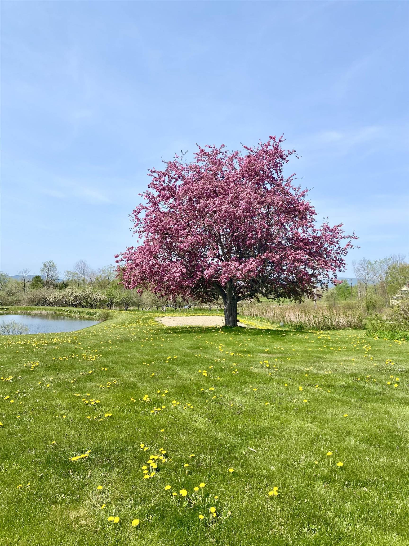 26 Herman Savage Rd, Northumberland, NH 03584