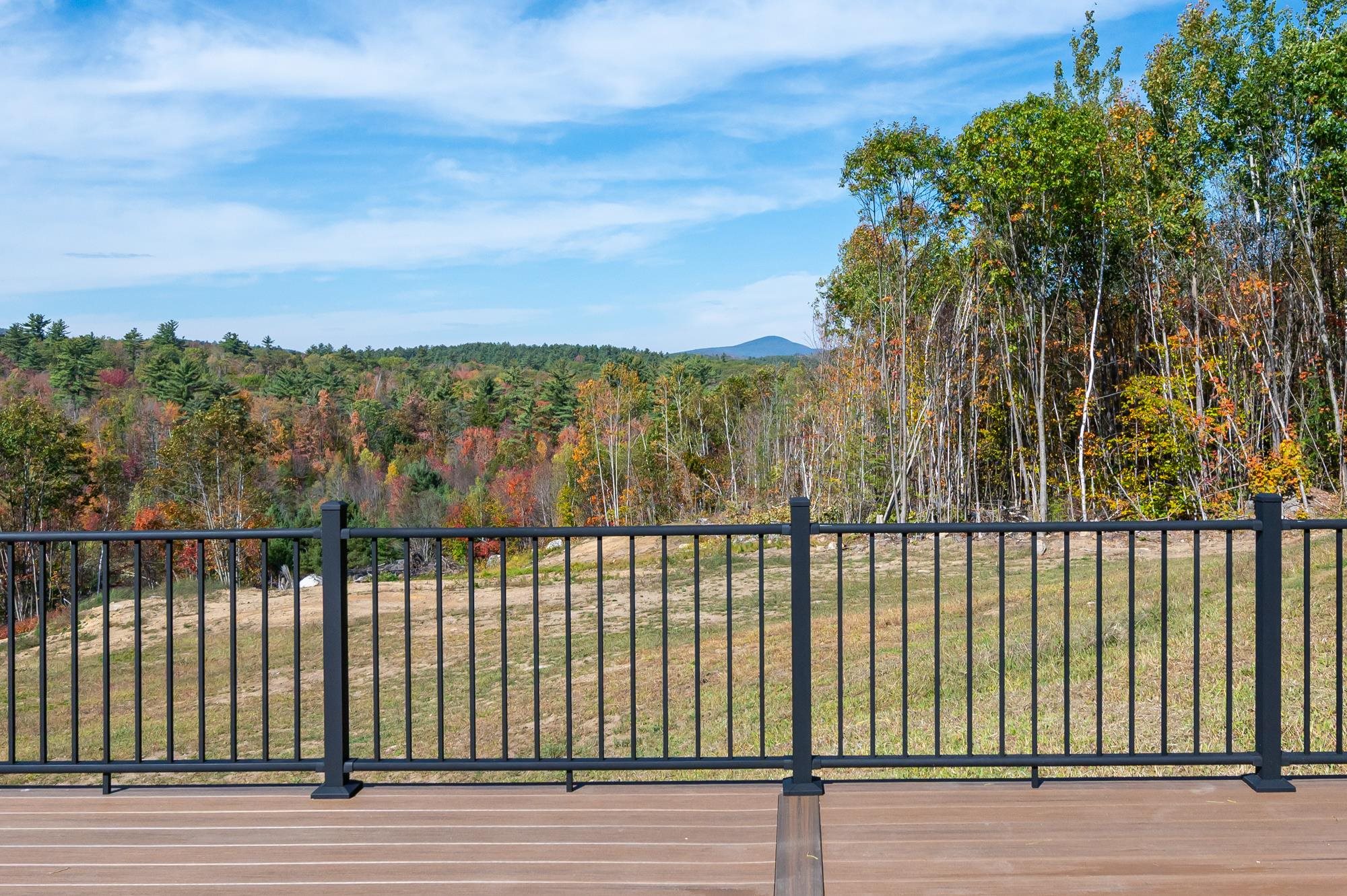 View from the Deck 25116407
