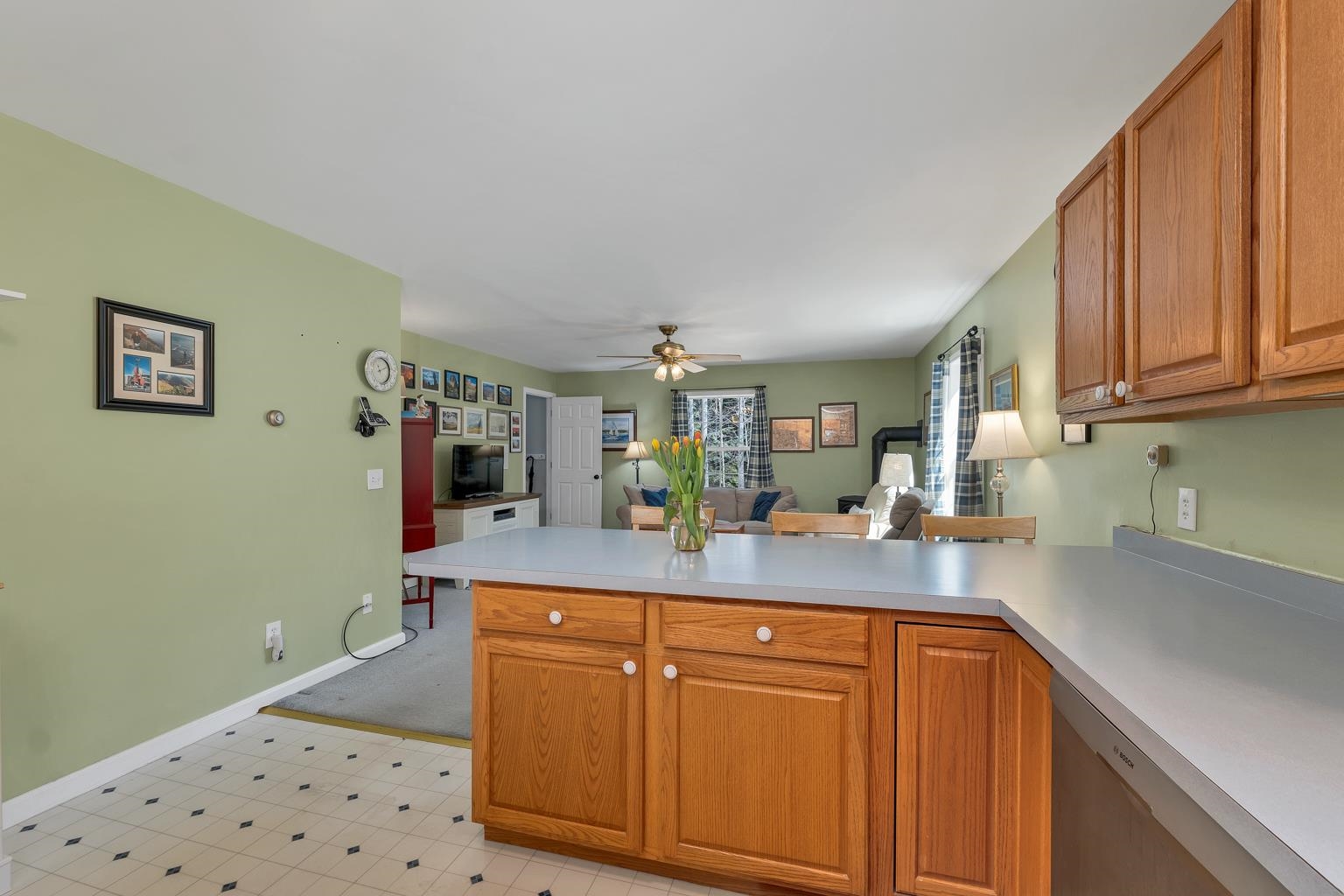 5 Birch Ln, Tuftonboro, NH 03816