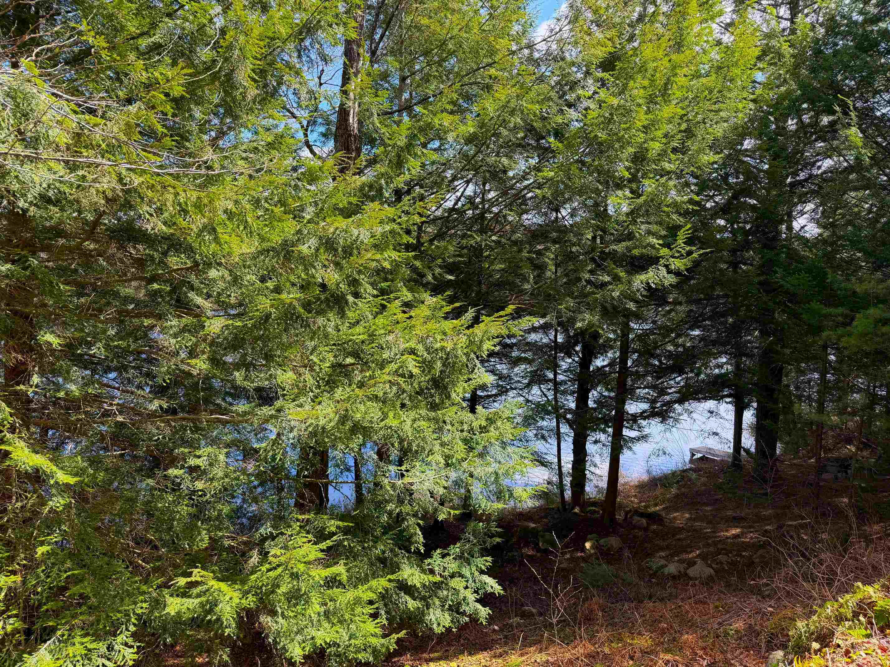 0 Tall Timber Dr, Grantham, NH 03753