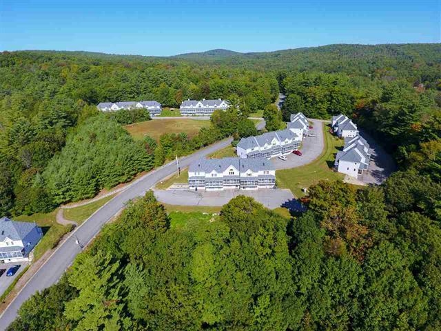 Surrounded by forest and LOTS of walking options