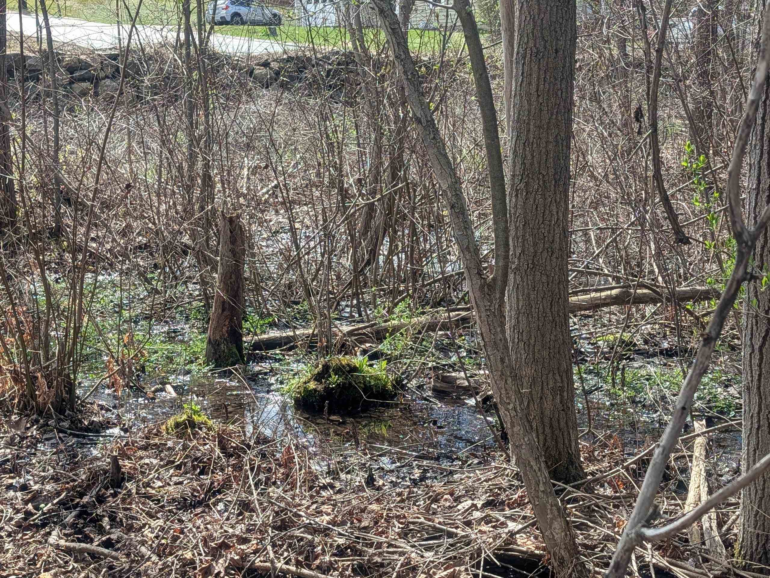 Charlestown Rd, Claremont, NH 03743