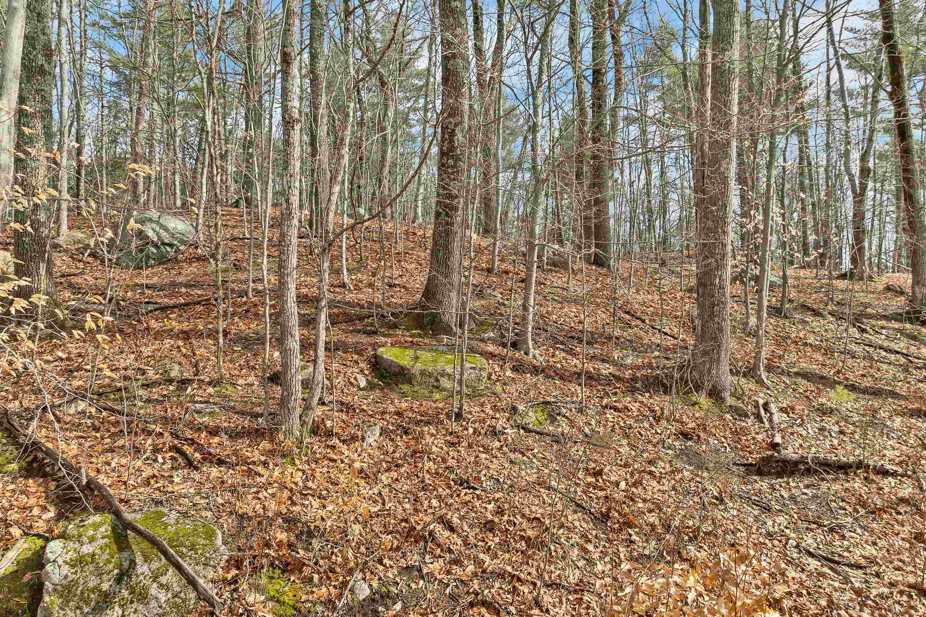 Lot 5-7 Avery Hill Road — photo 2