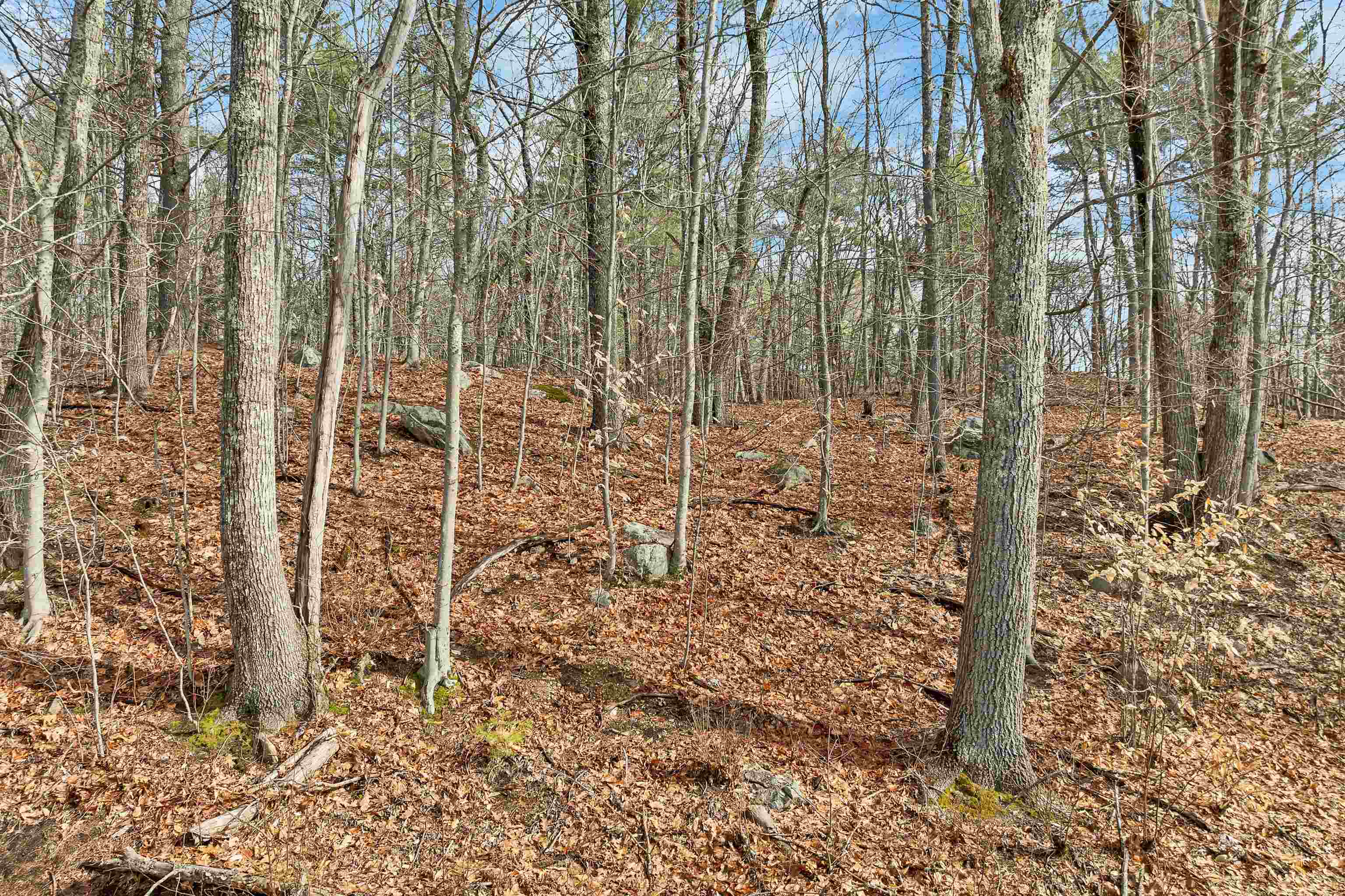 Lot 5-7 Avery Hill Rd, Alton, NH 03810