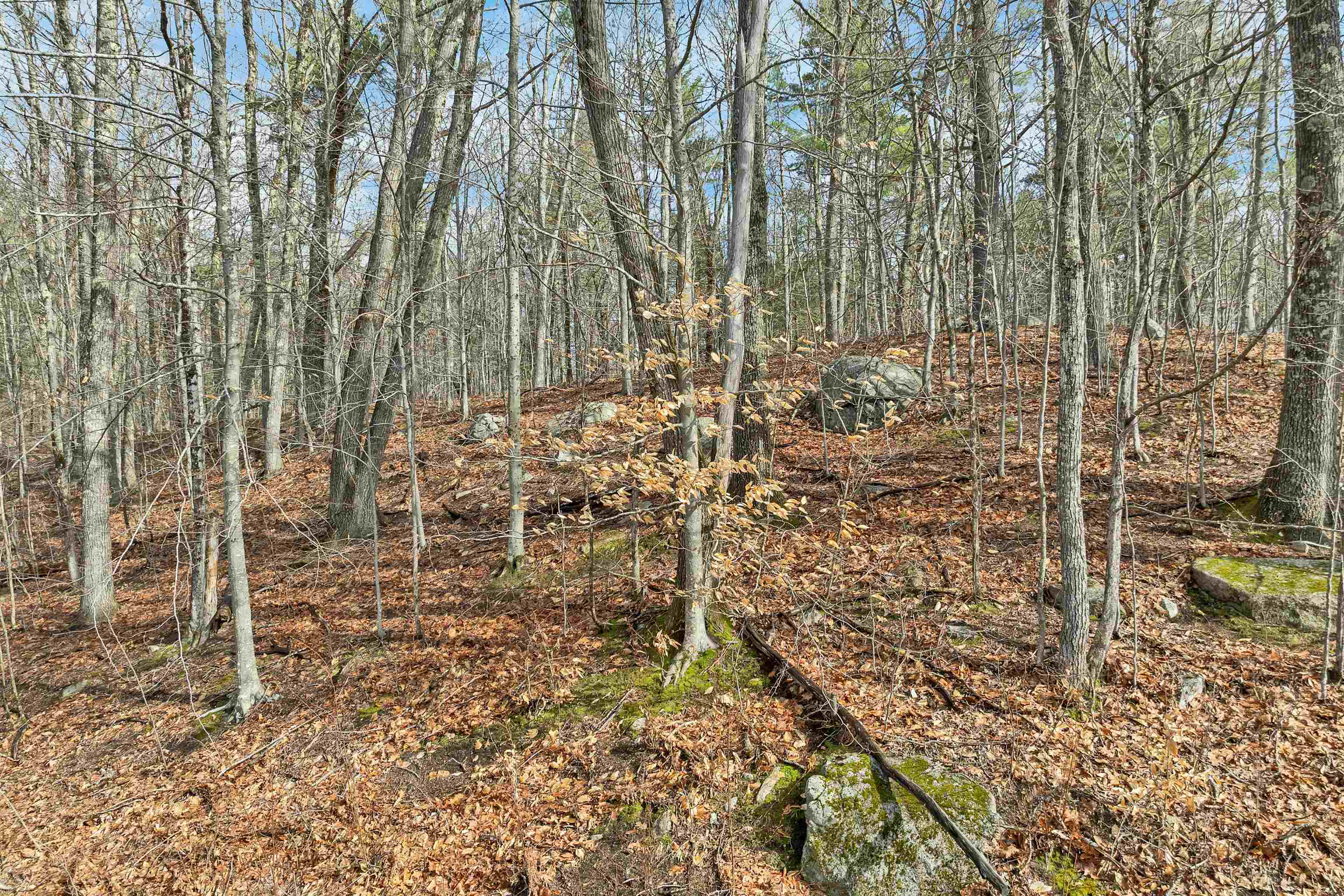 Lot 5-7 Avery Hill Rd, Alton, NH 03810