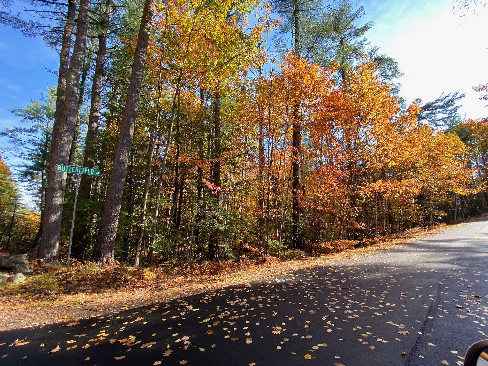 69 Butterfield Rd, Center Harbor, NH 03226