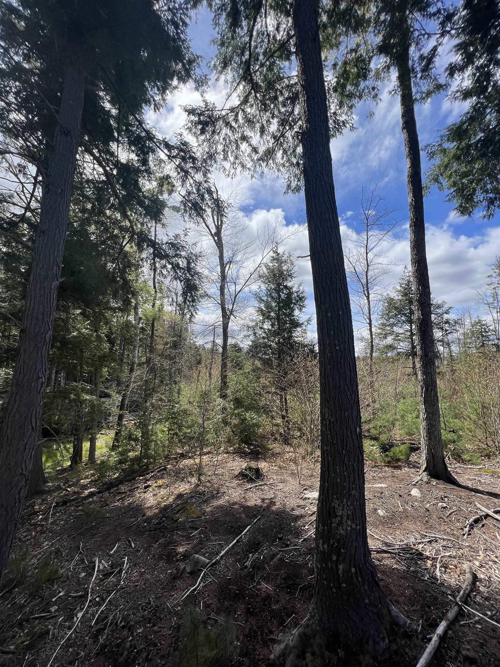 7199 Shaker Rd, Loudon, NH 03307