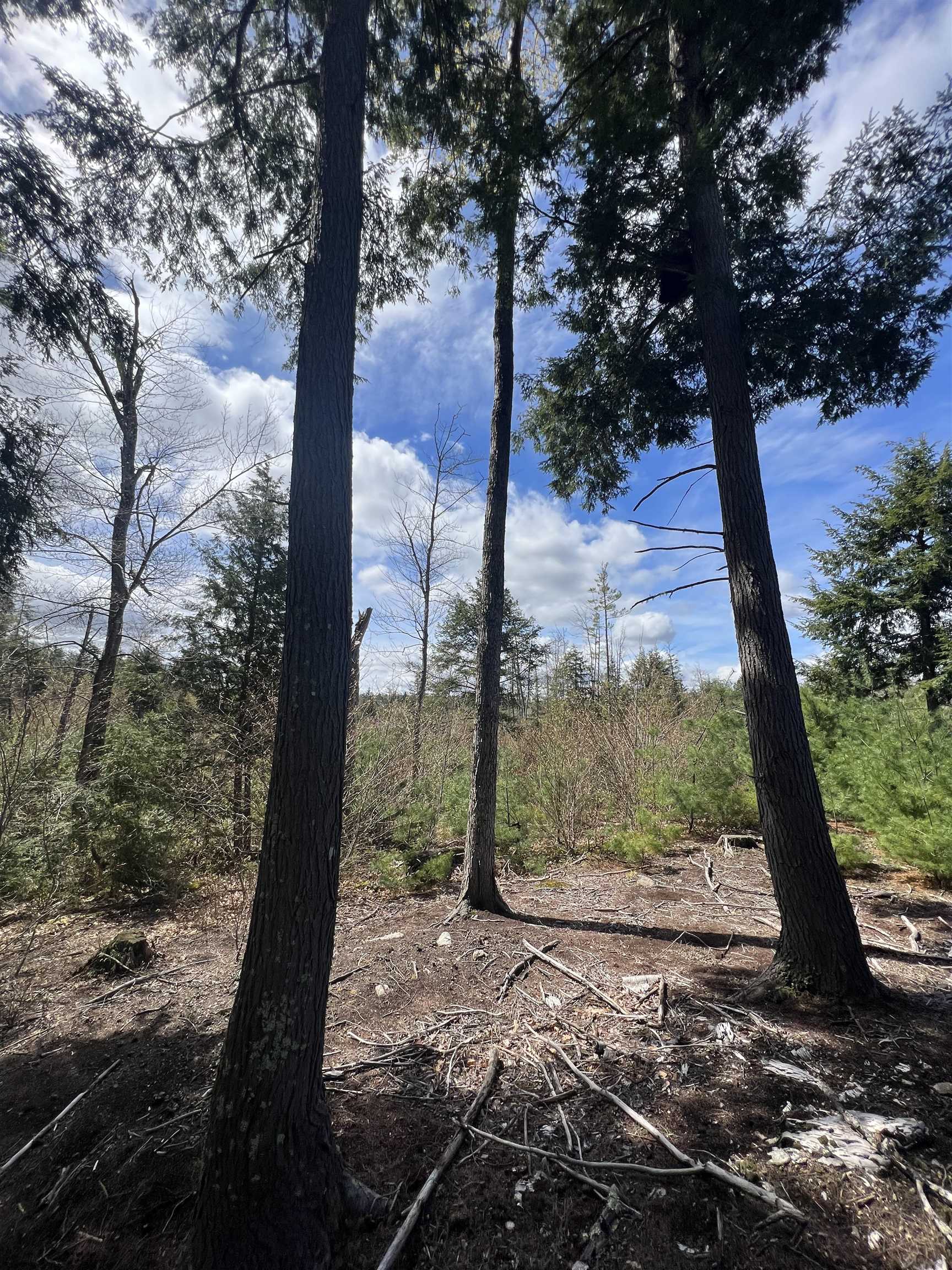 7199 Shaker Rd, Loudon, NH 03307