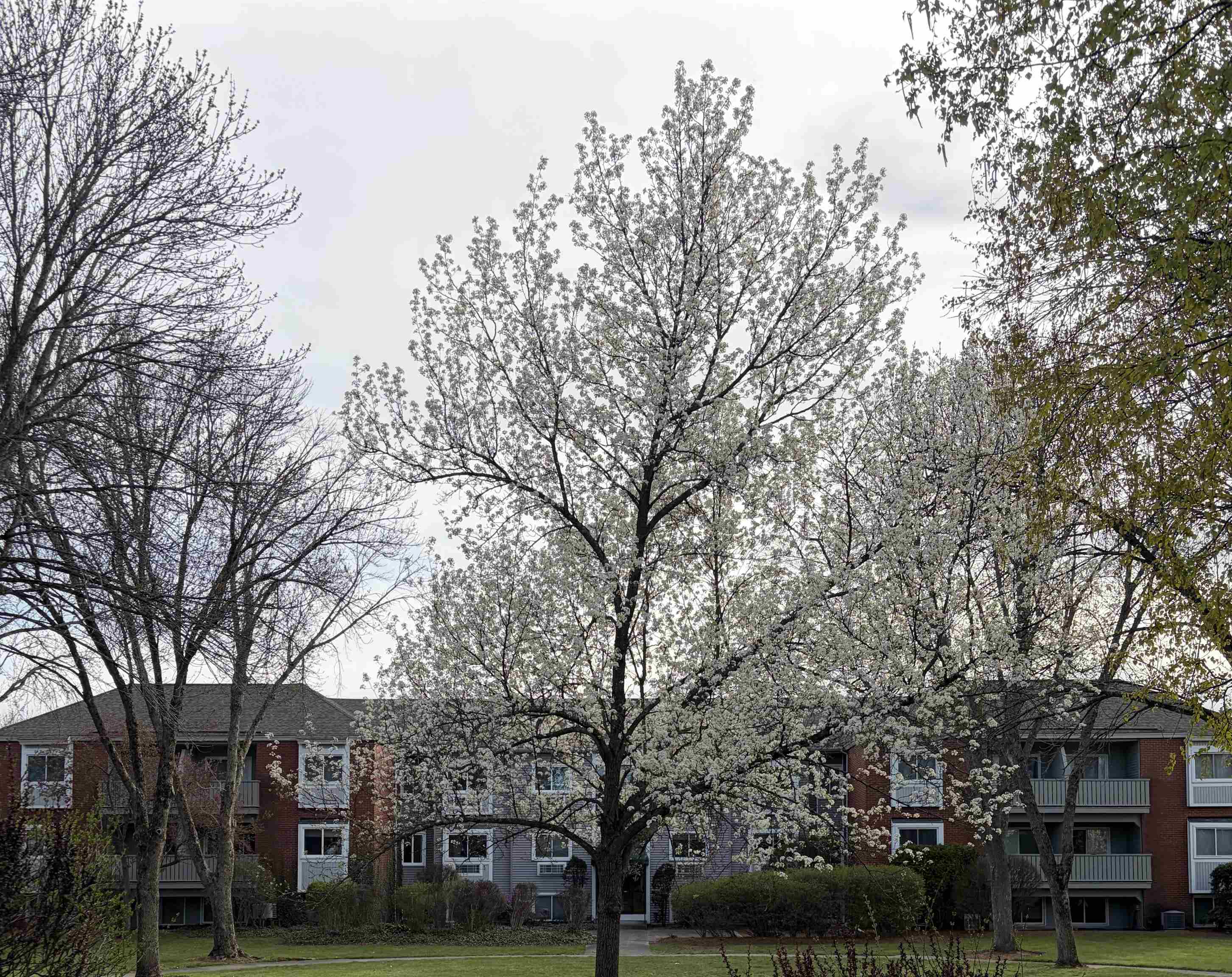 113 Cluff Crossing Rd, Salem, NH 03073