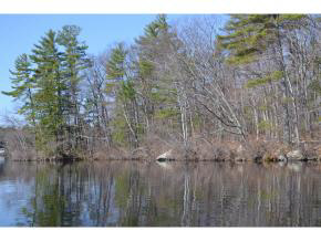 65.4 Gansy Island, Moultonborough, NH 03254