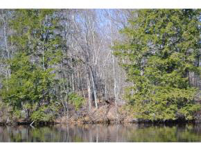 65.4 Gansy Island, Moultonborough, NH 03254