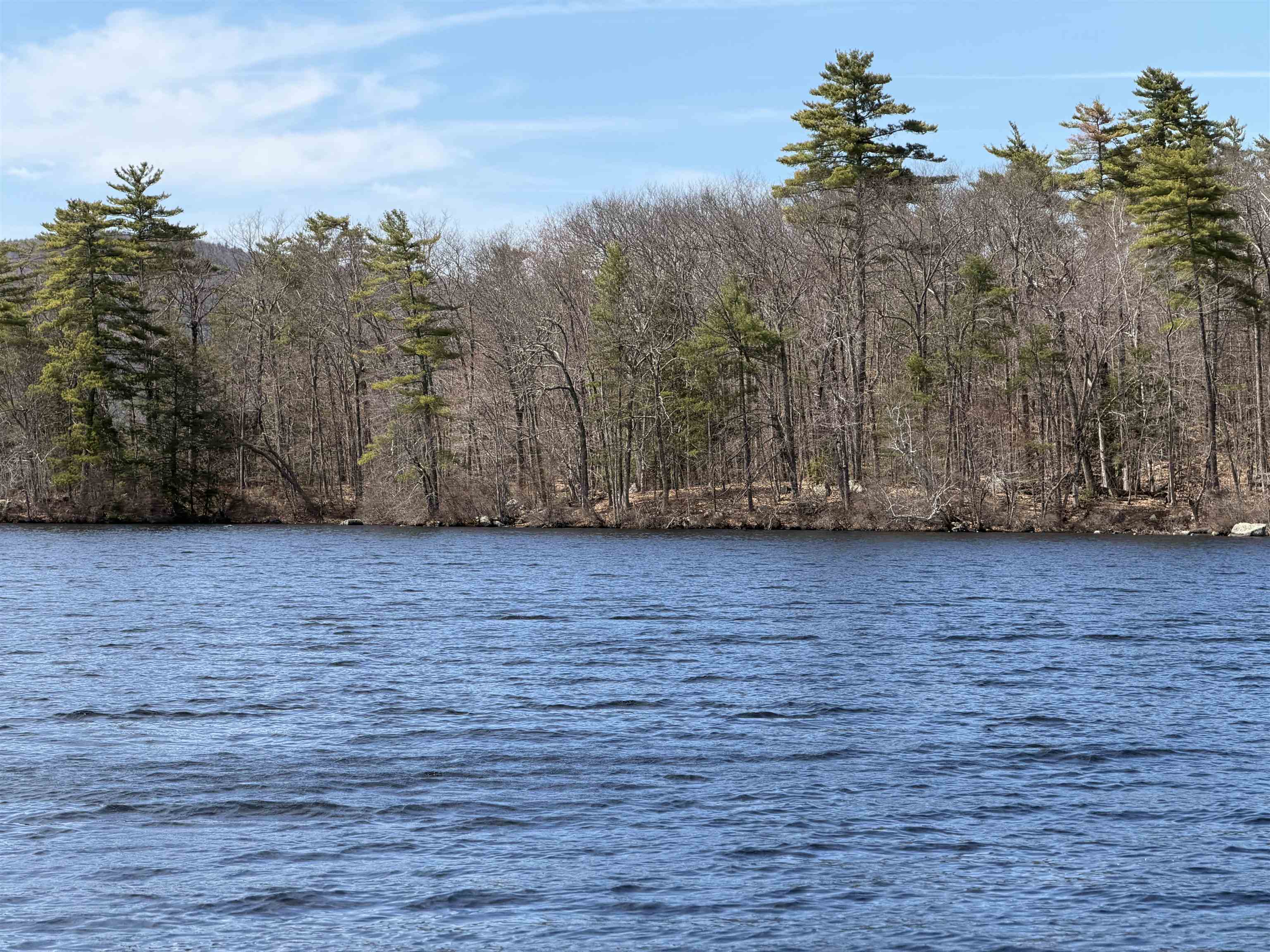 65.4 Gansy Island — photo 3