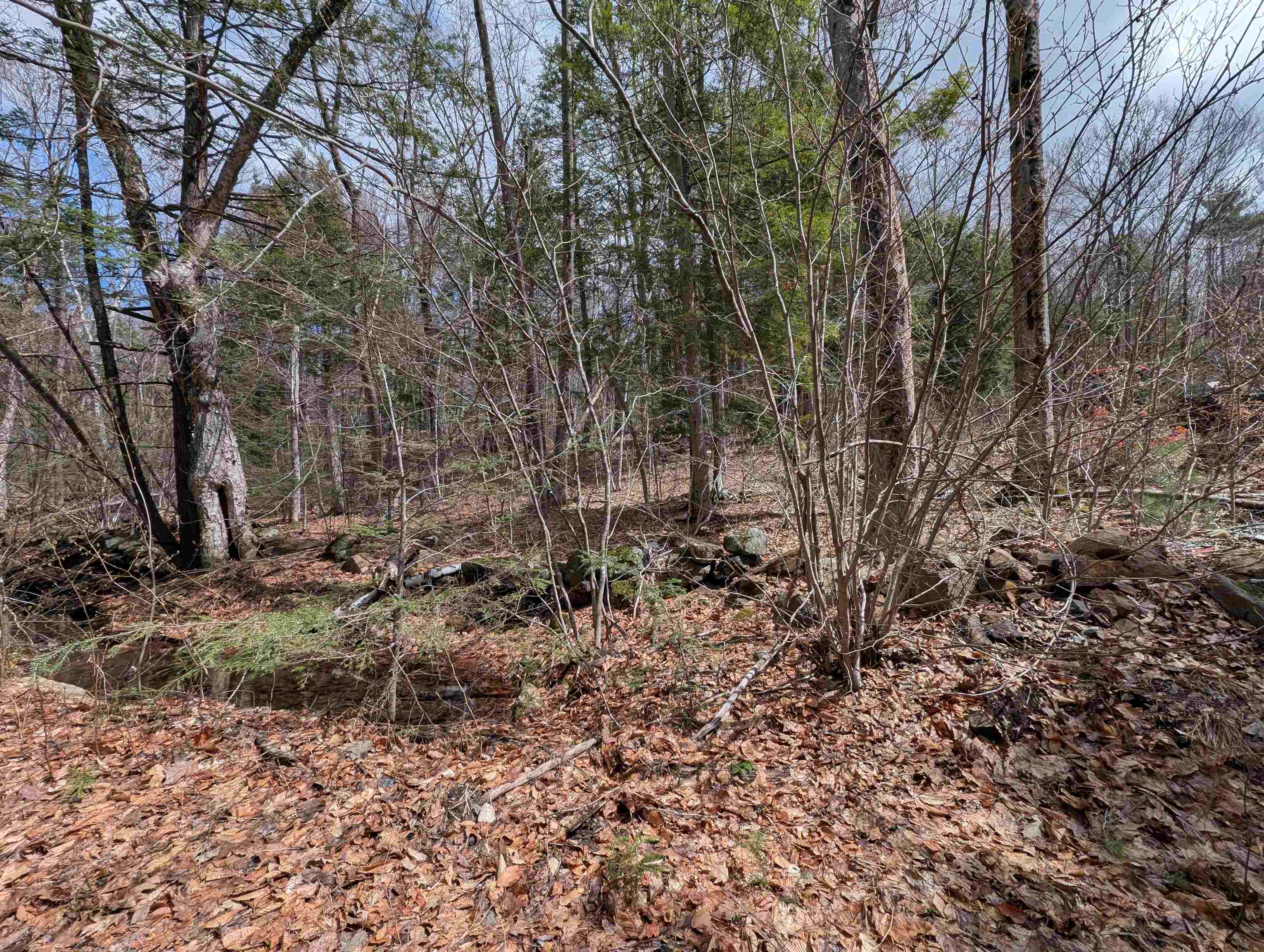 Map 41 Lot 21 Jewett Rd, Weare, NH 03281