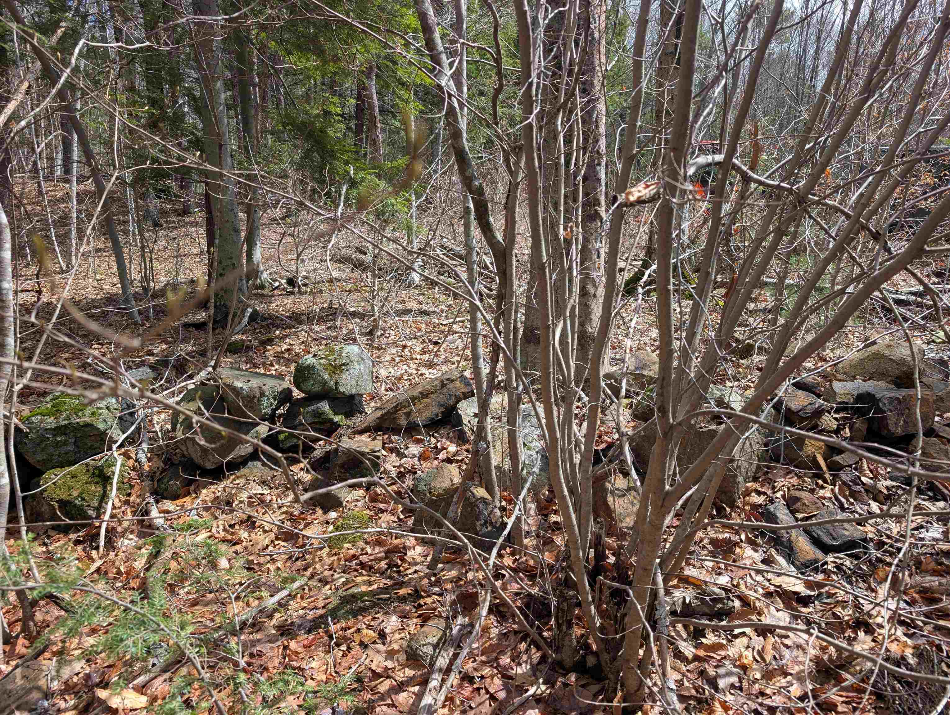 Map 41 Lot 21 Jewett Rd, Weare, NH 03281