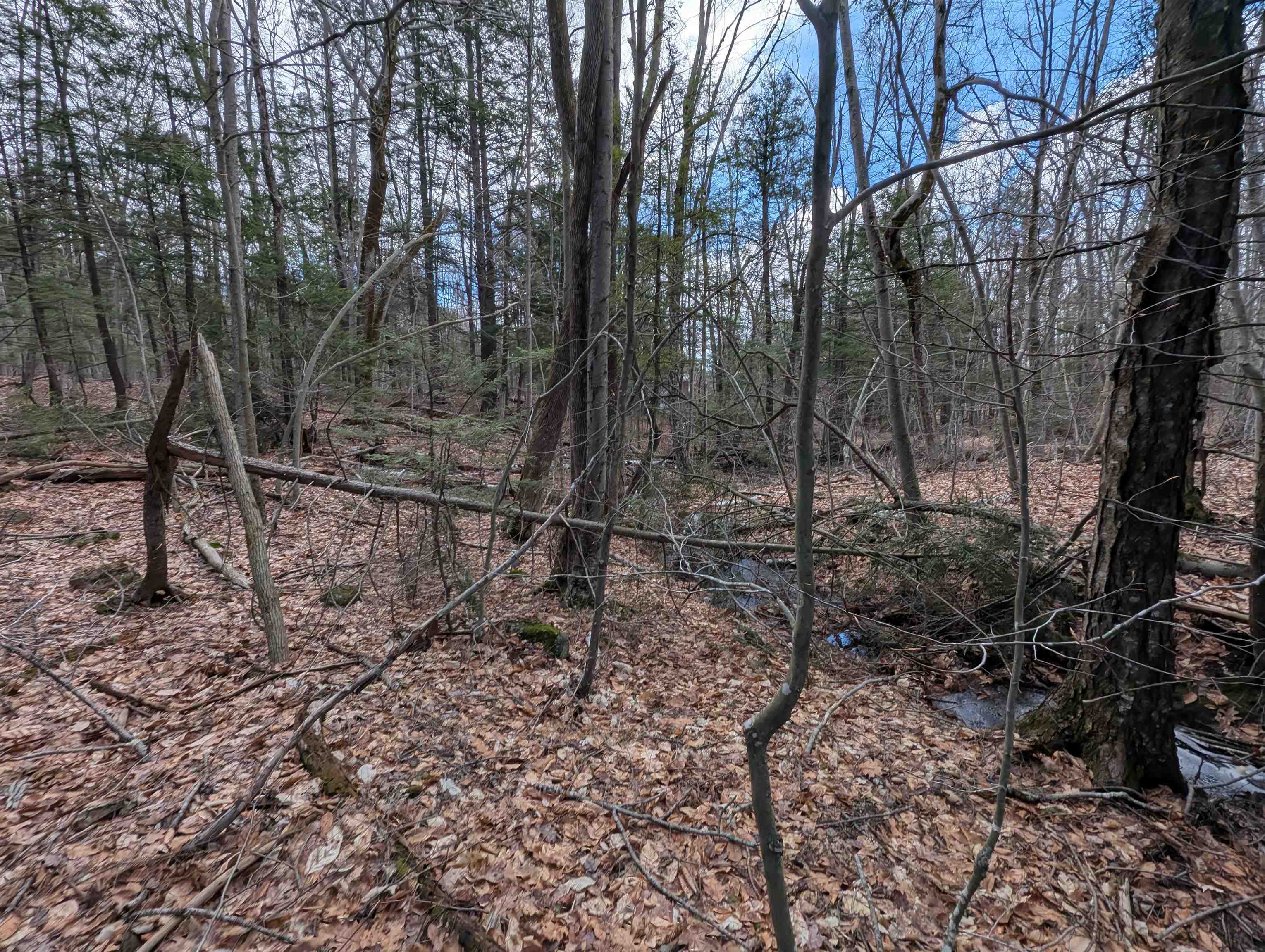 Map 41 Lot 21 Jewett Rd, Weare, NH 03281