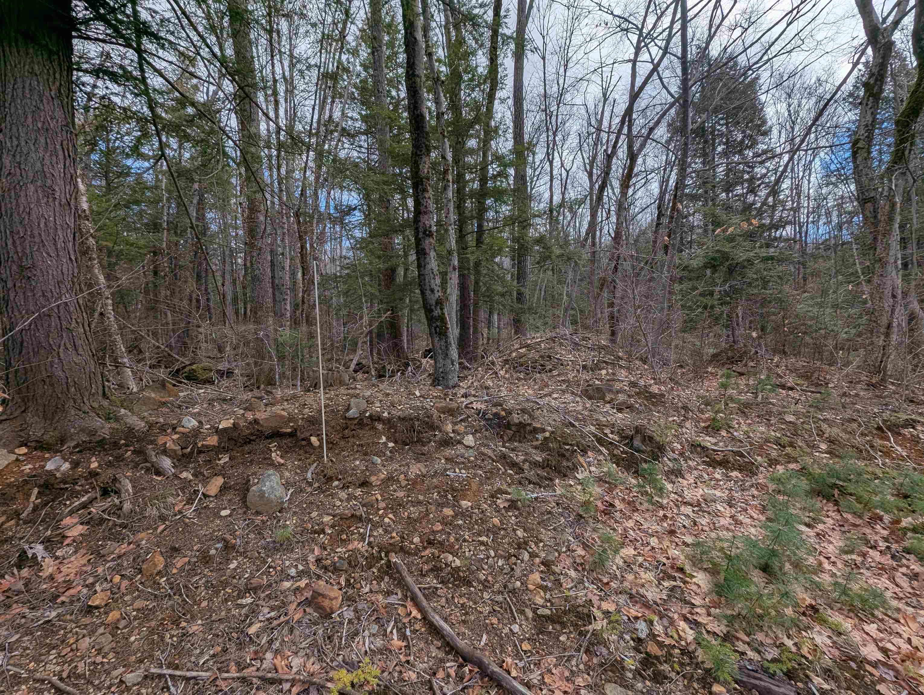 Boundary 200 feet of frontage from start