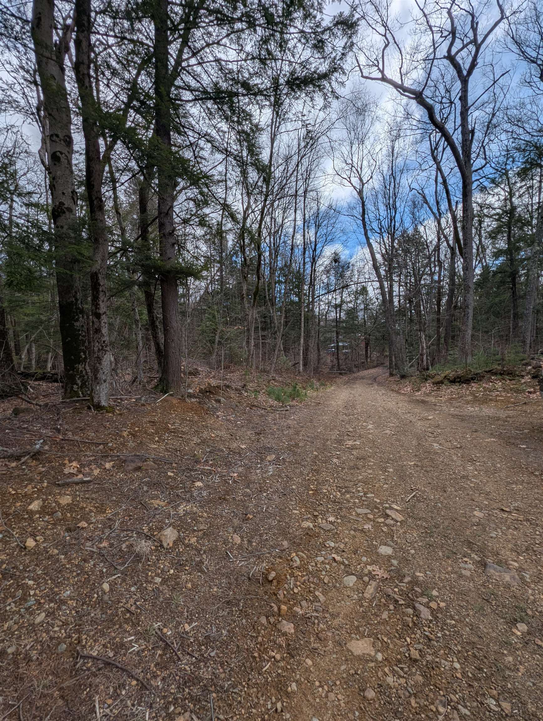 Map 41 Lot 21 Jewett Rd, Weare, NH 03281