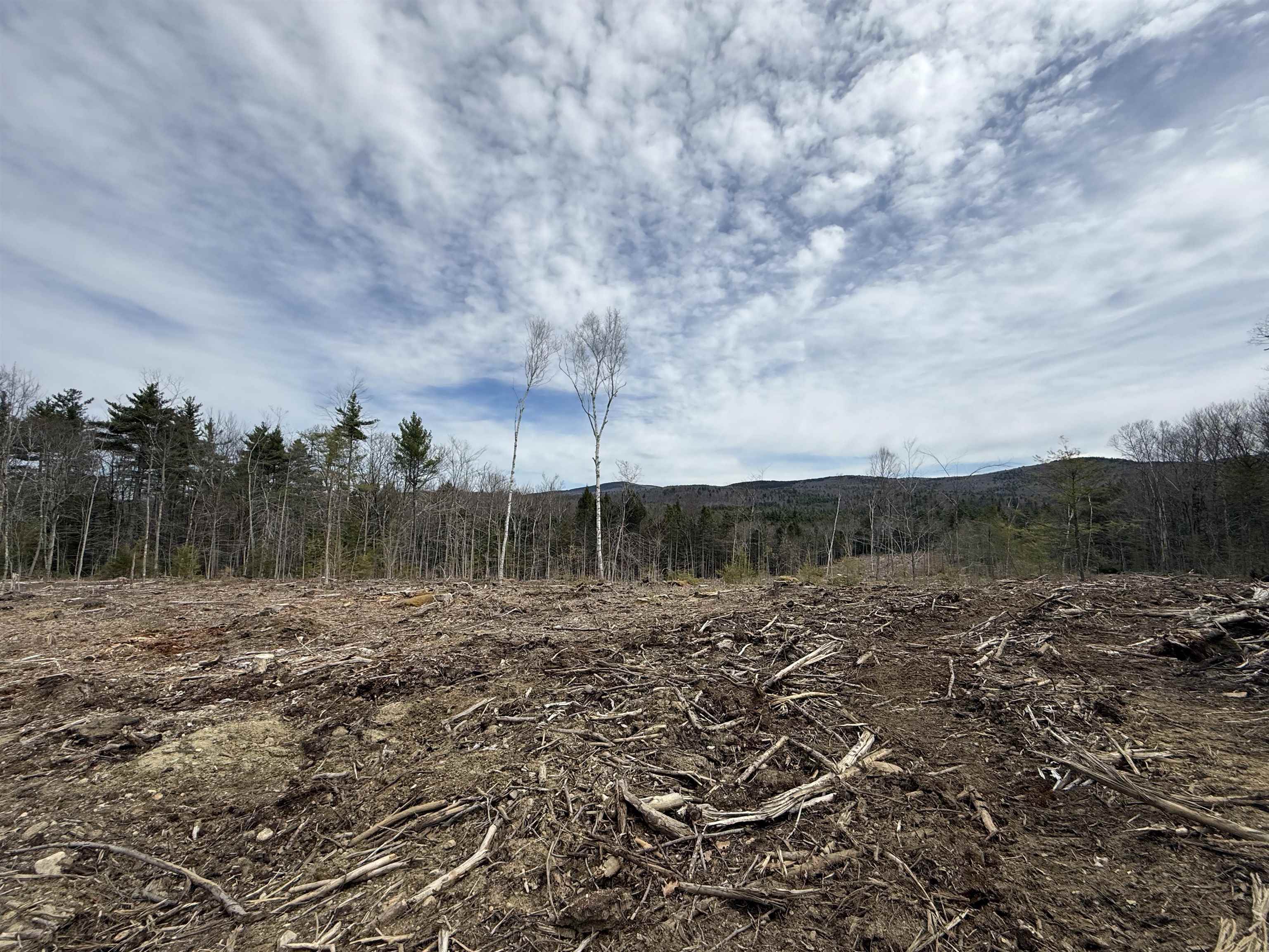 6-3 123 Route, Sharon, NH 03458