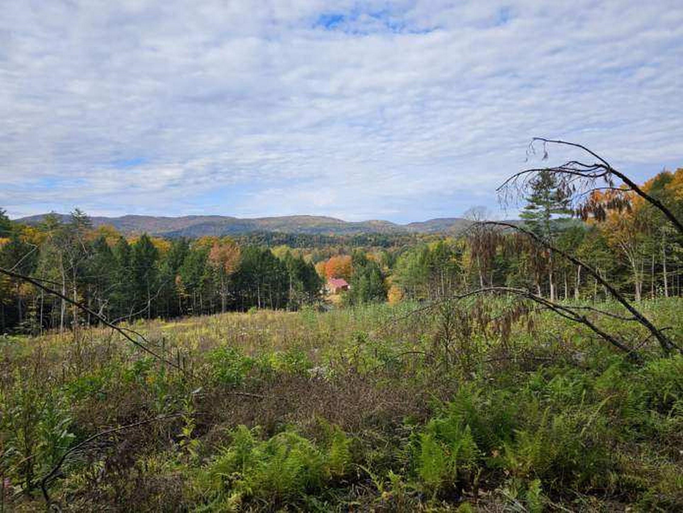 972 Dartmouth College Hw, Orford, NH 03777