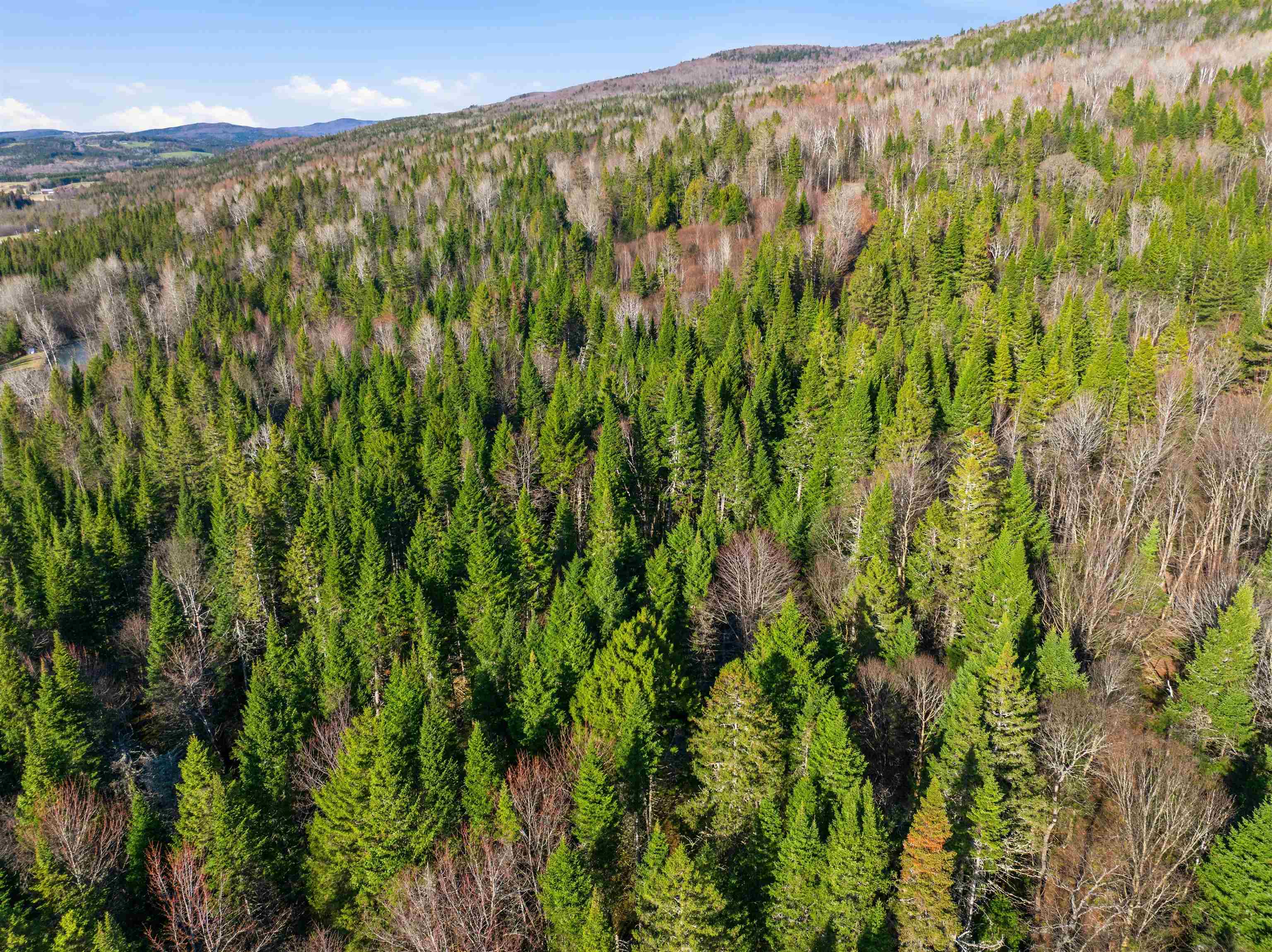 1660 Halls Stream Rd, Pittsburg, NH 03592