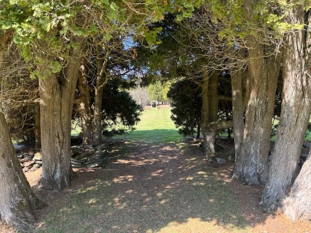 Property photo 21