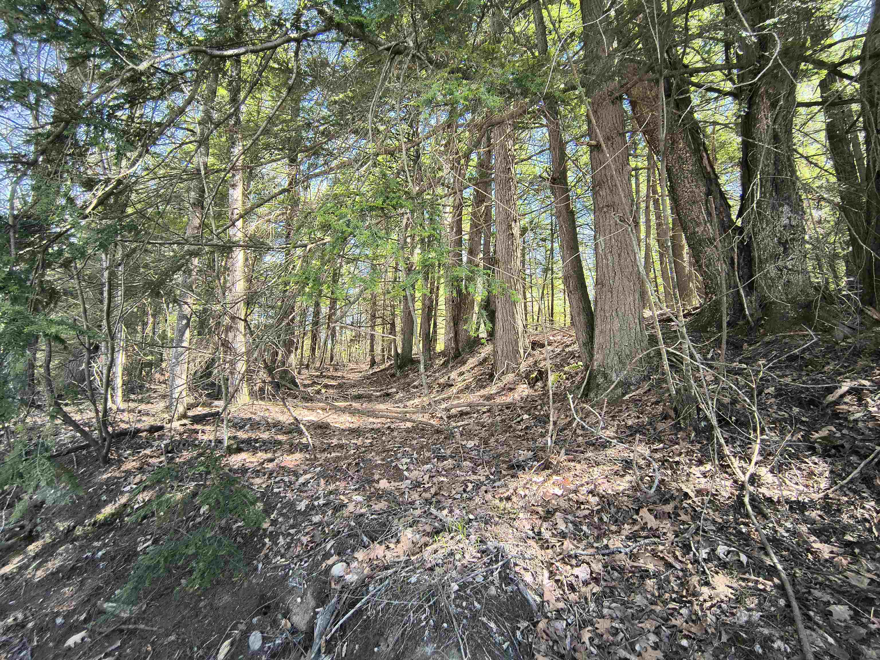 0 Littlefield Rd, Danbury, NH 03230