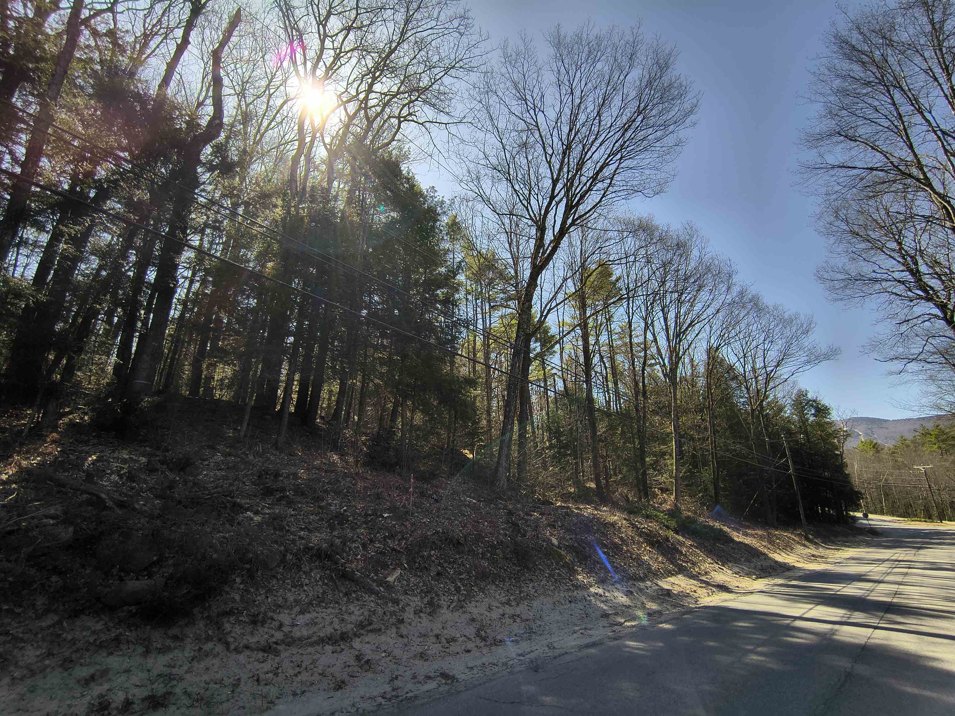 0 Littlefield Rd, Danbury, NH 03230