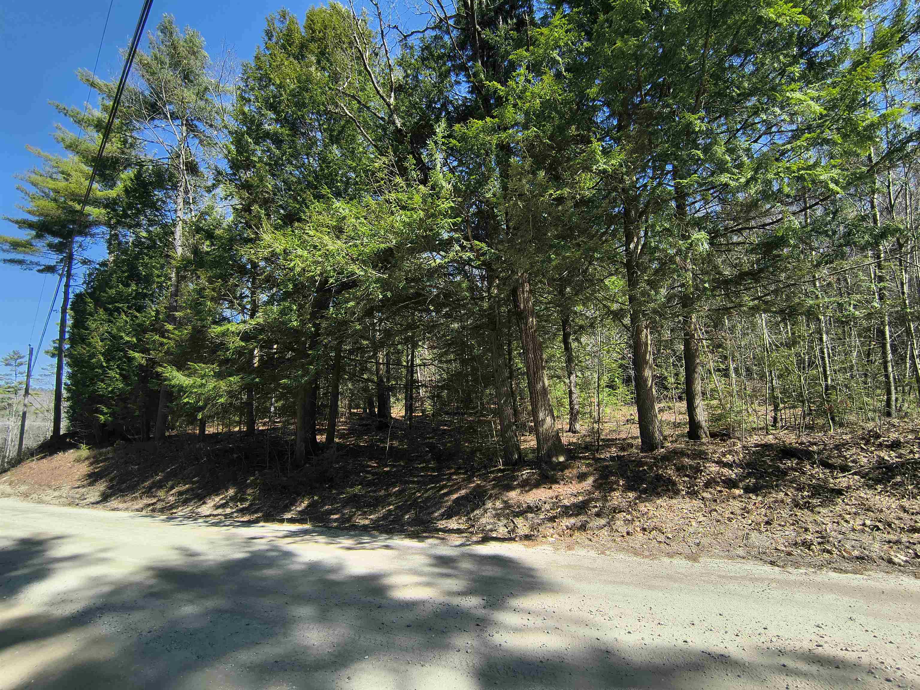 0 Littlefield Rd, Danbury, NH 03230