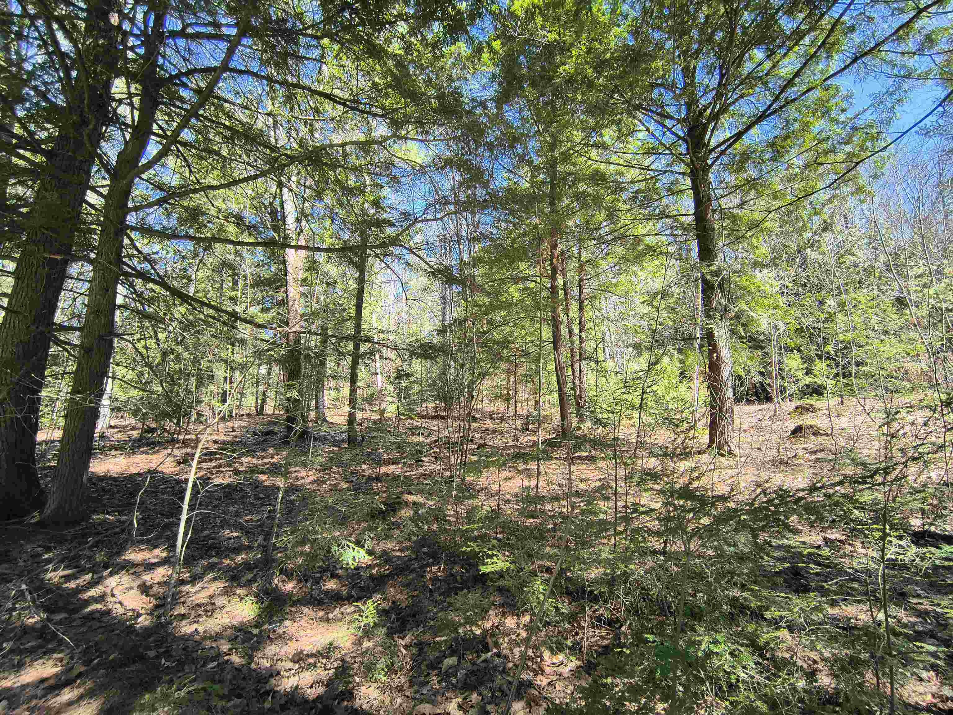 0 Littlefield Rd, Danbury, NH 03230