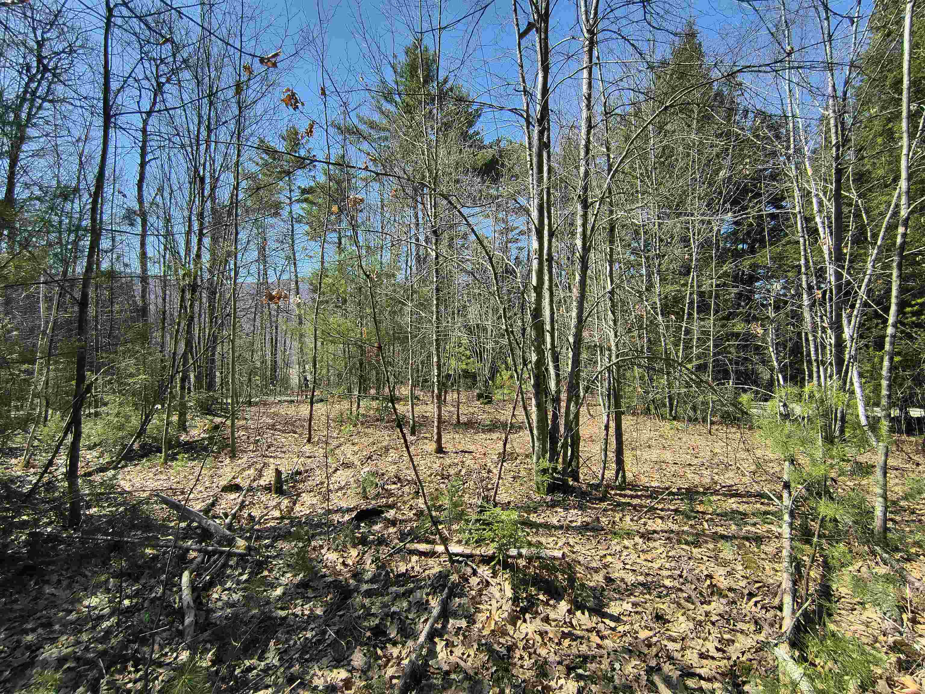 0 Littlefield Rd, Danbury, NH 03230