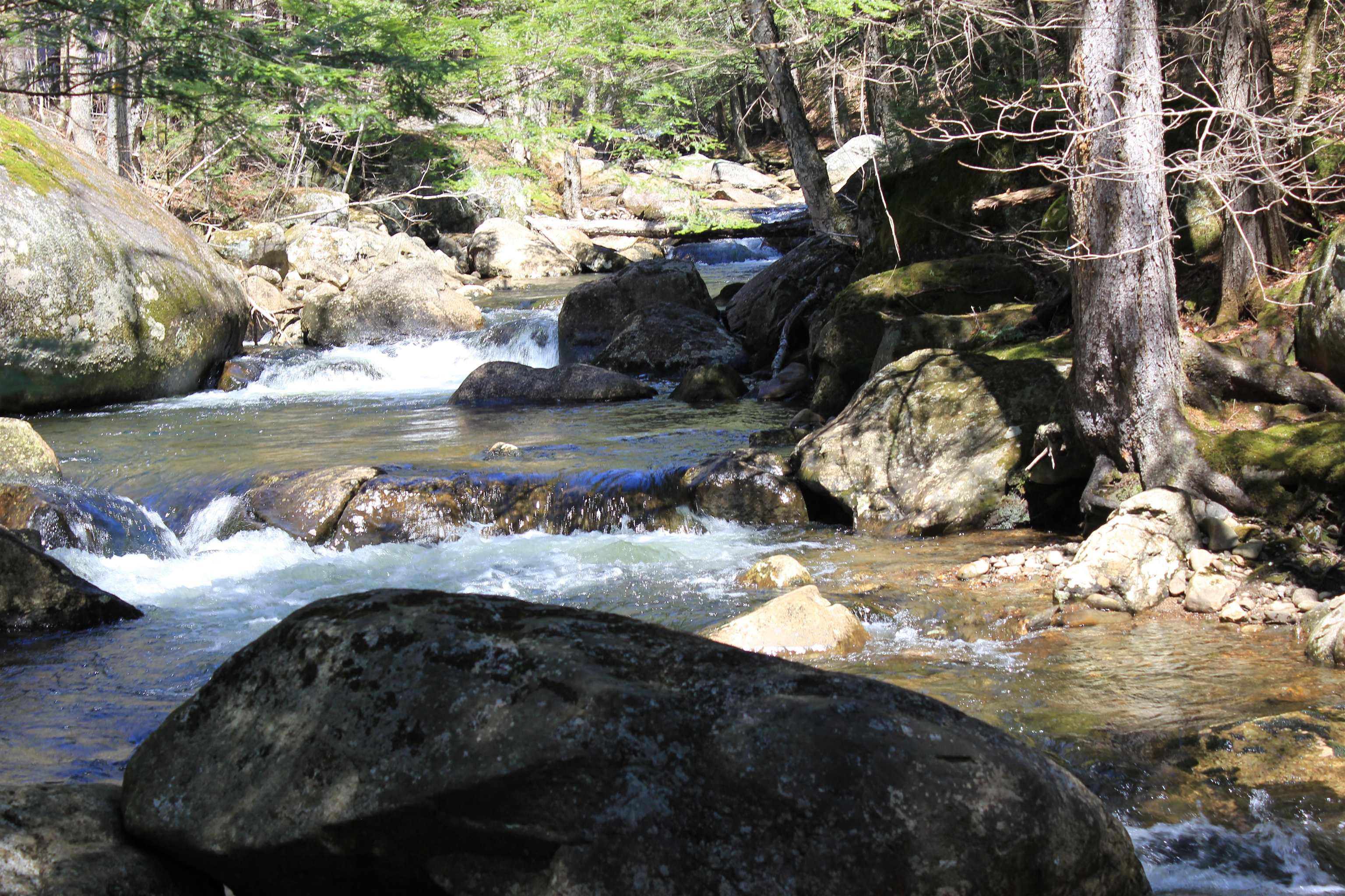 1784 Stinson Lake Rd, Rumney, NH 03266