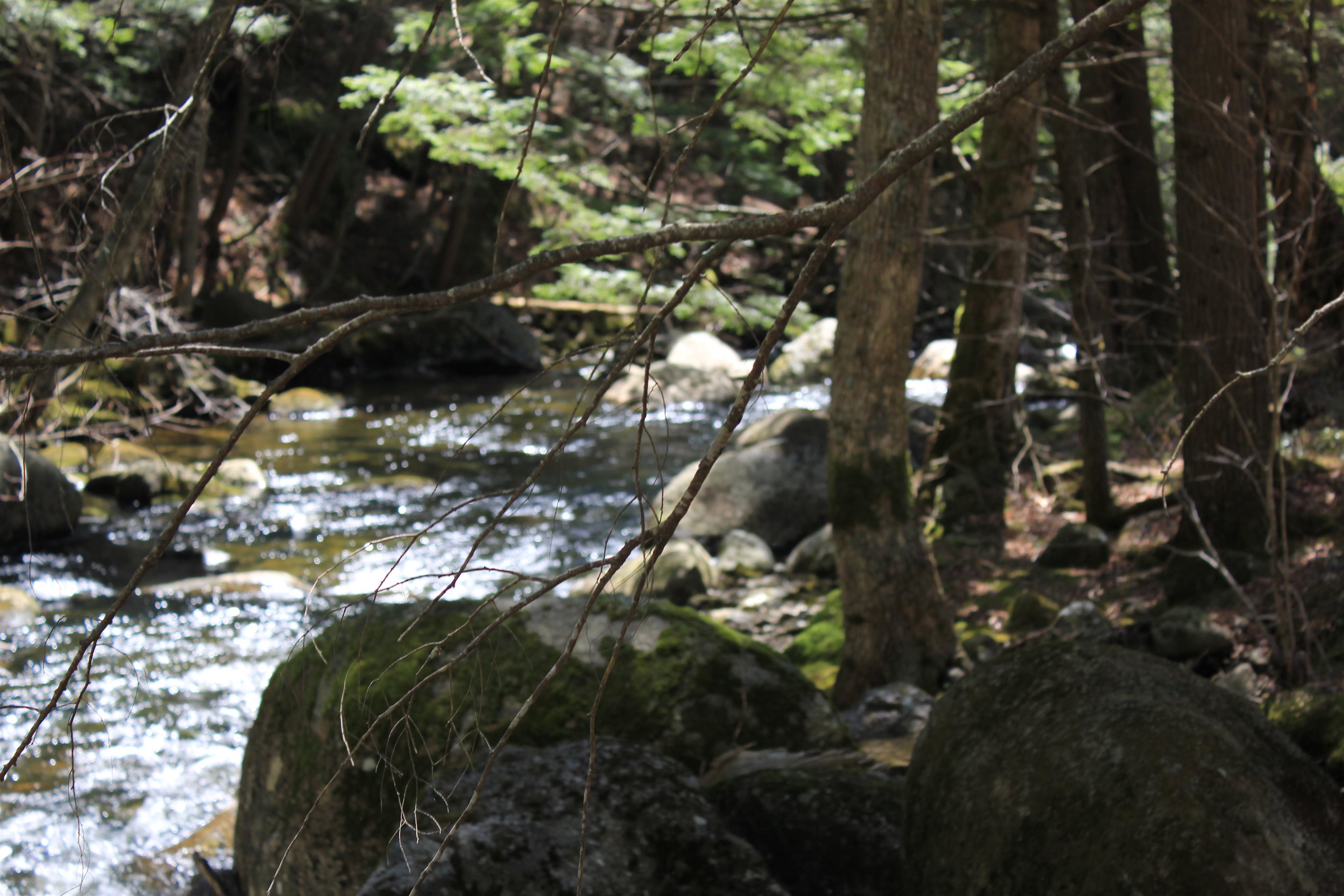 1784 Stinson Lake Rd, Rumney, NH 03266