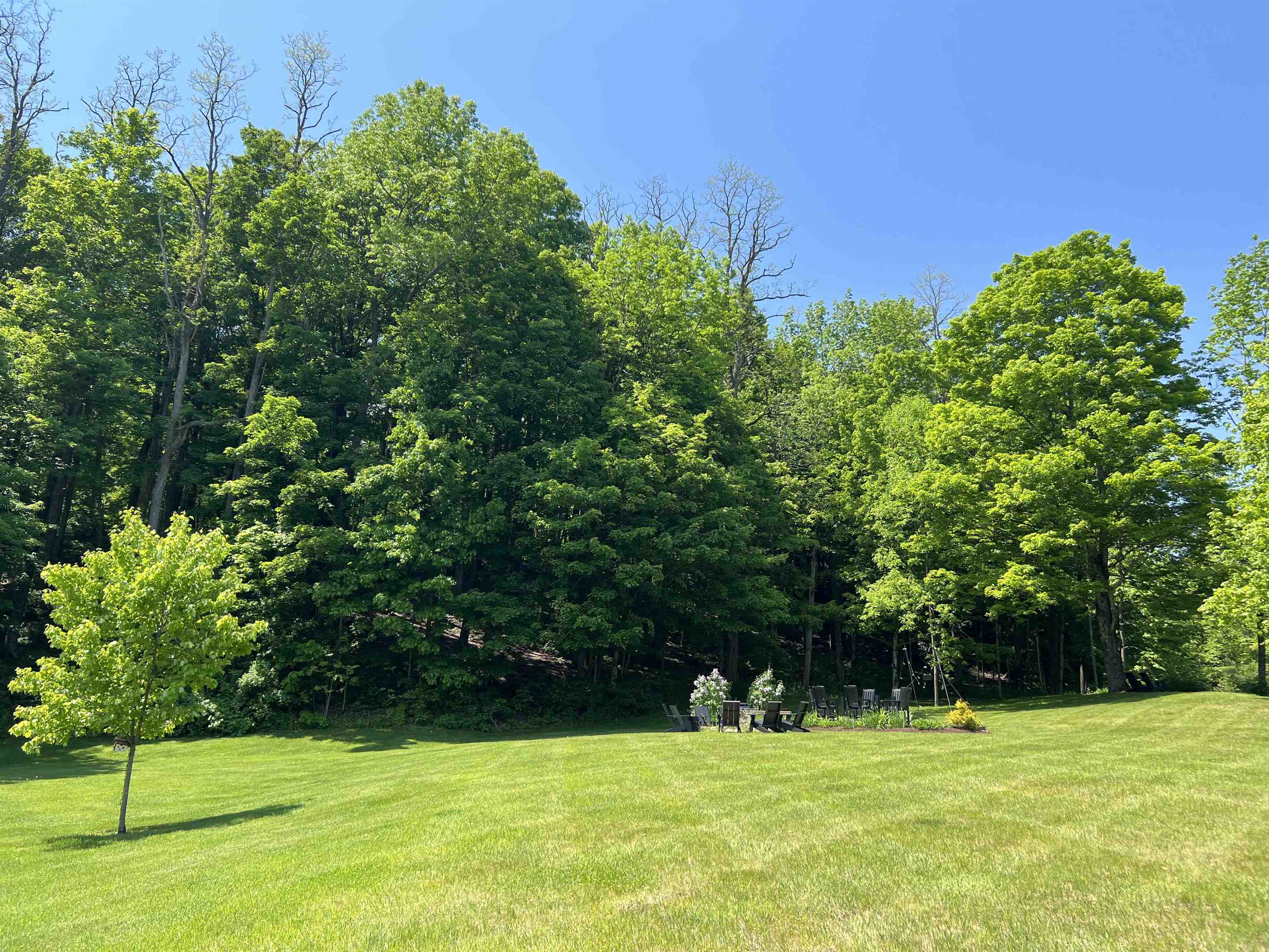 Huge back lawn
