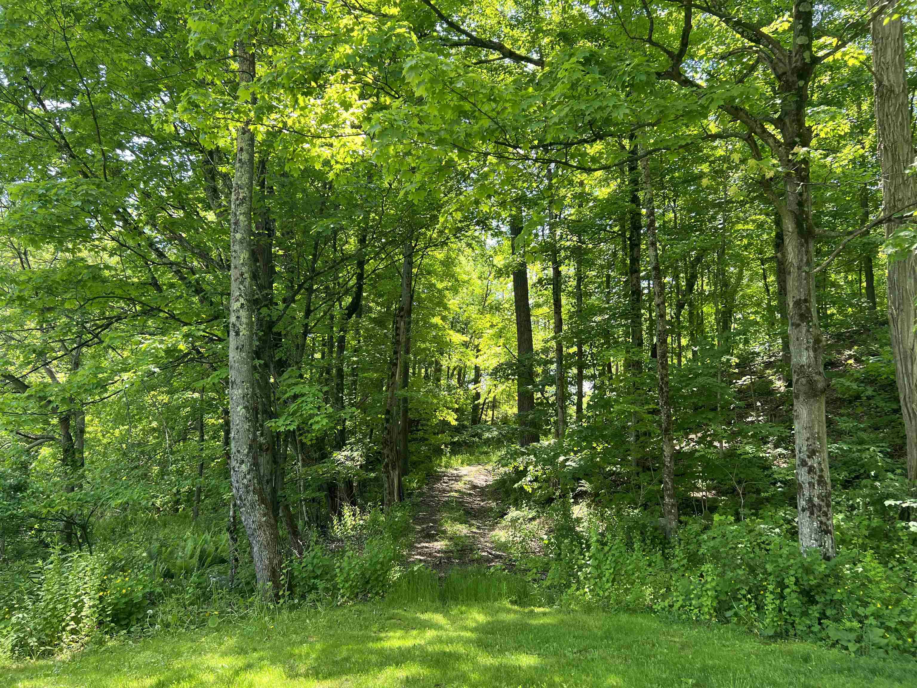Path to the upper private part of the acreage