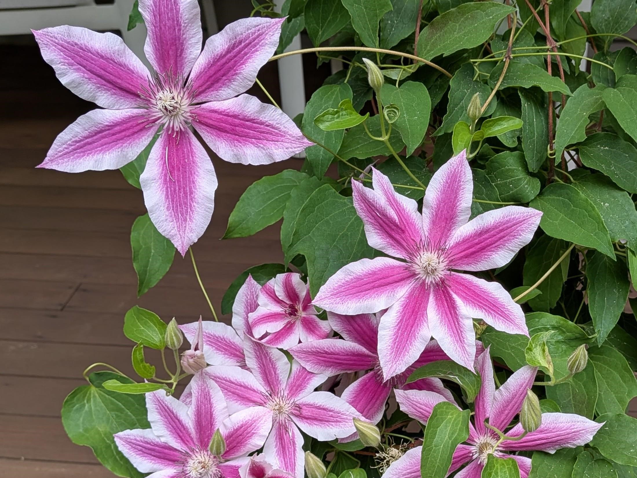 541 Bedford Rd, New Boston, NH 03070