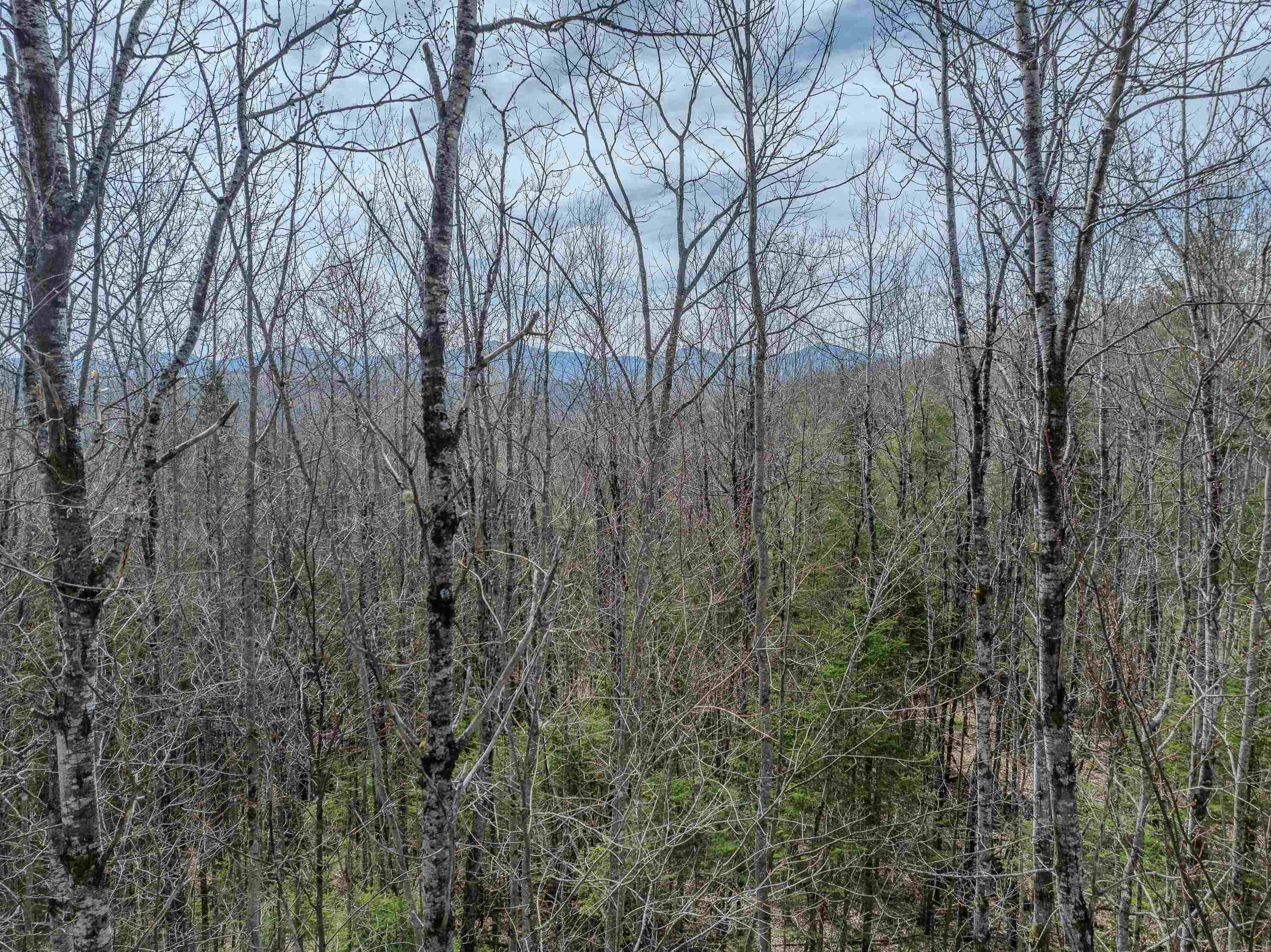 Lot 2 Mountain Rd, Dalton, NH 03598