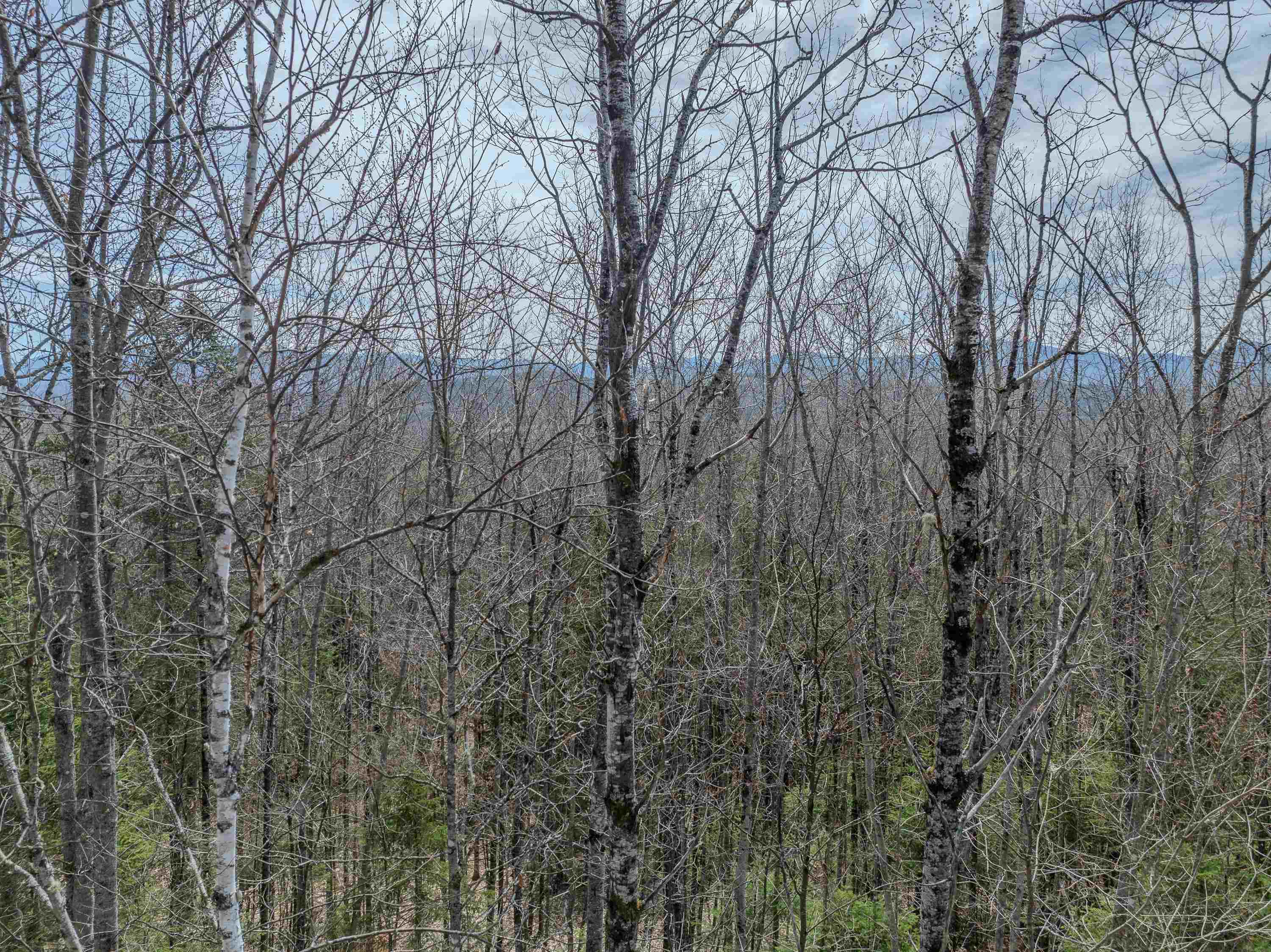 Lot 2 Mountain Rd, Dalton, NH 03598