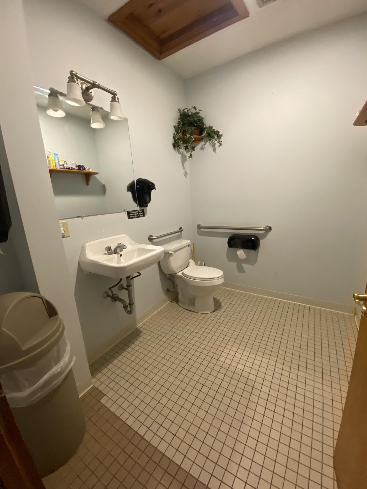 handicap bath
